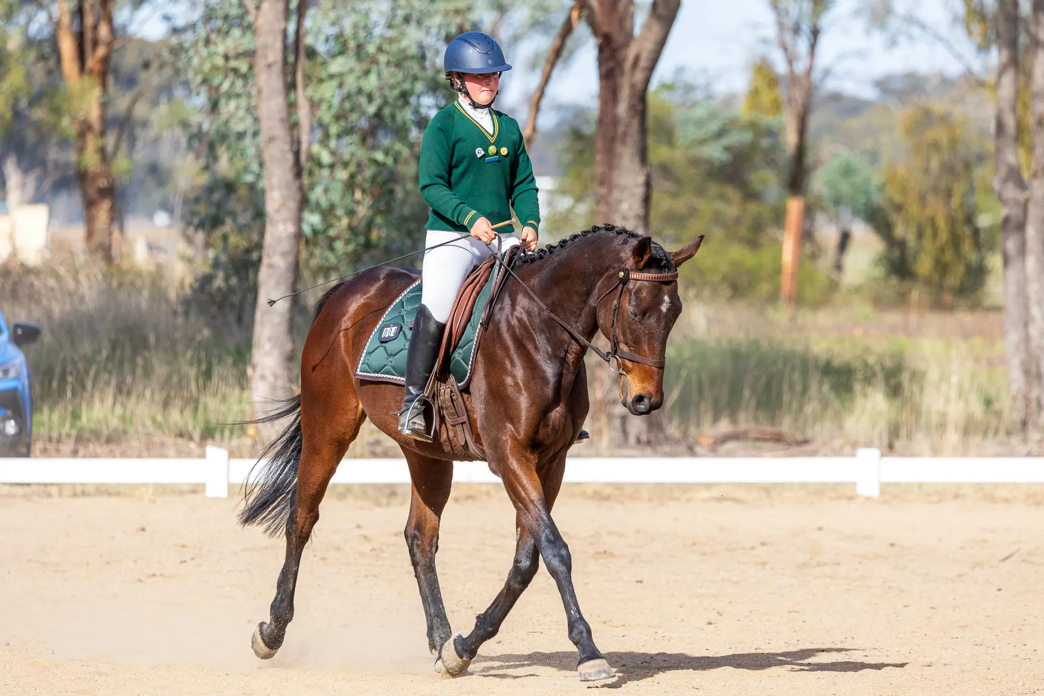 <p>INTERNATIONAL STAGE: Moyhu\\u2019s Ella Hogan and her horse Cyril are preparing to represent Australia in the 2026 Pony Club International Alliance Virtual Dressage Training Challenge. PHOTO: Grain and Mane</p>\\n