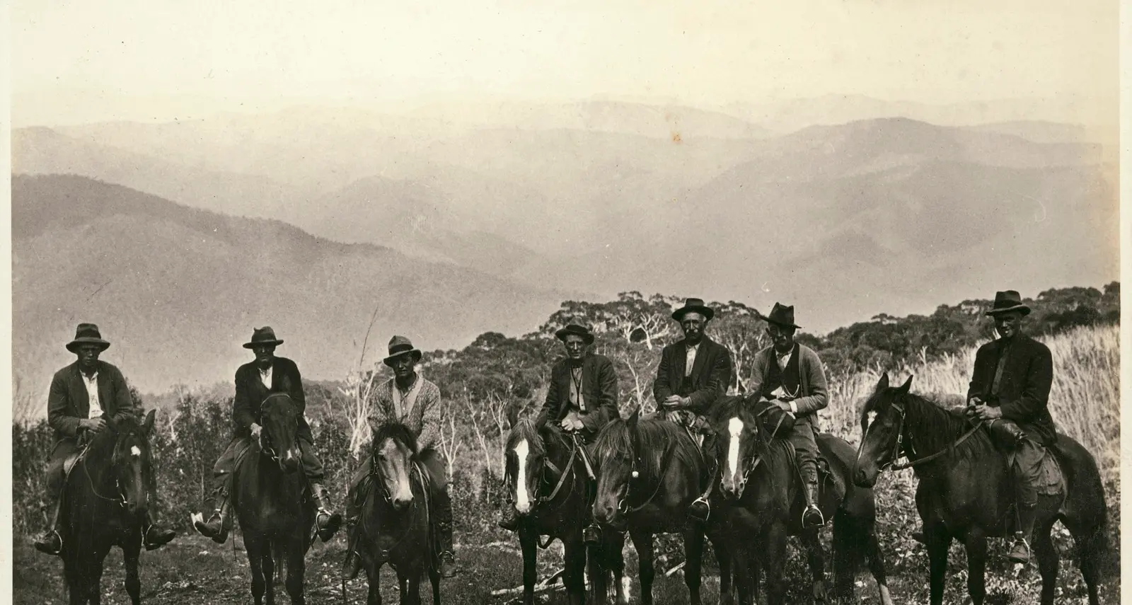 Mountain cattlemen key to State Library Victoria appeal