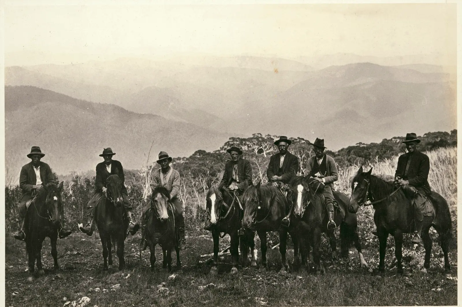 Mountain cattlemen key to State Library Victoria appeal