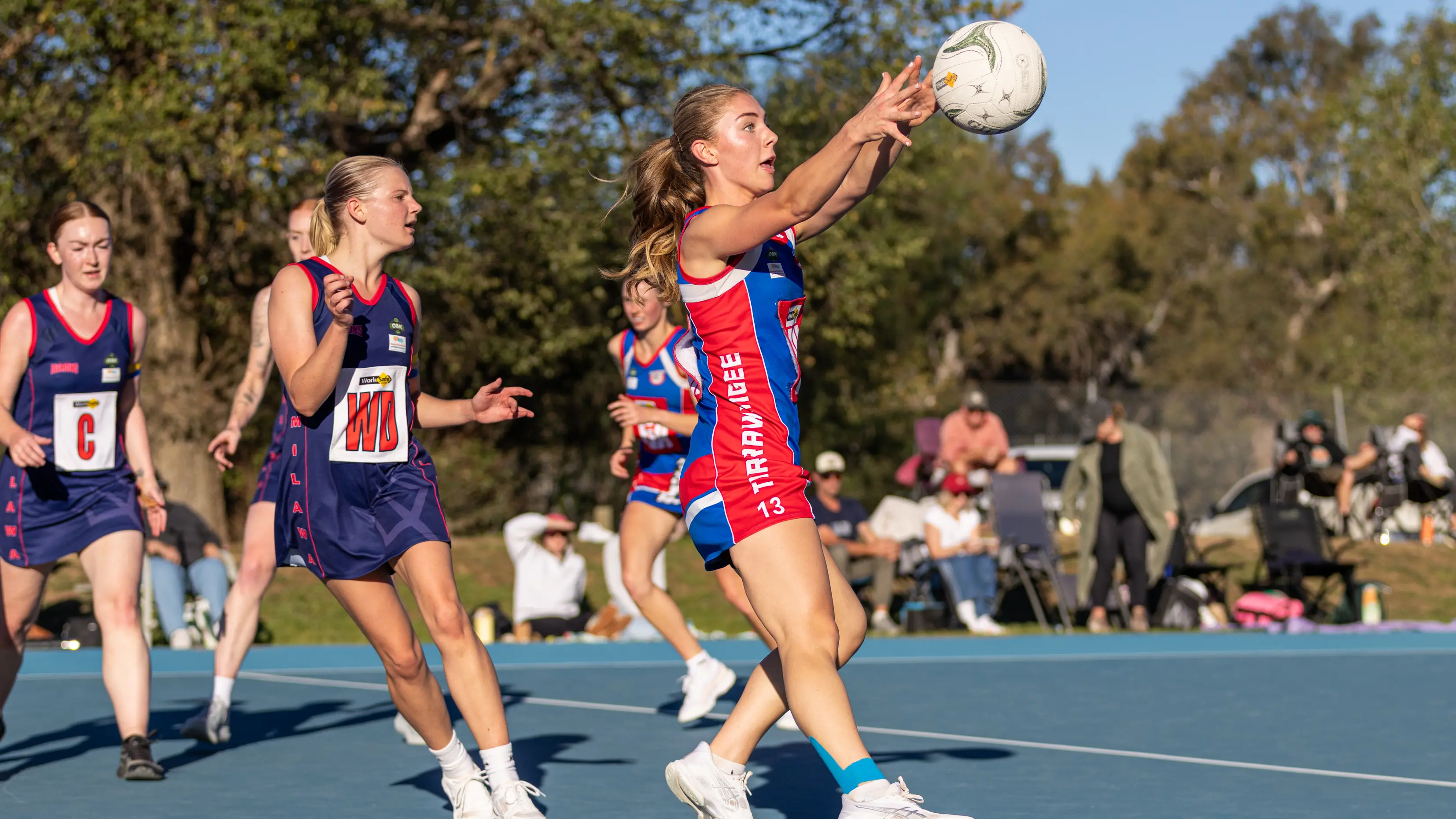 Bulldogs keeping pace with the pack