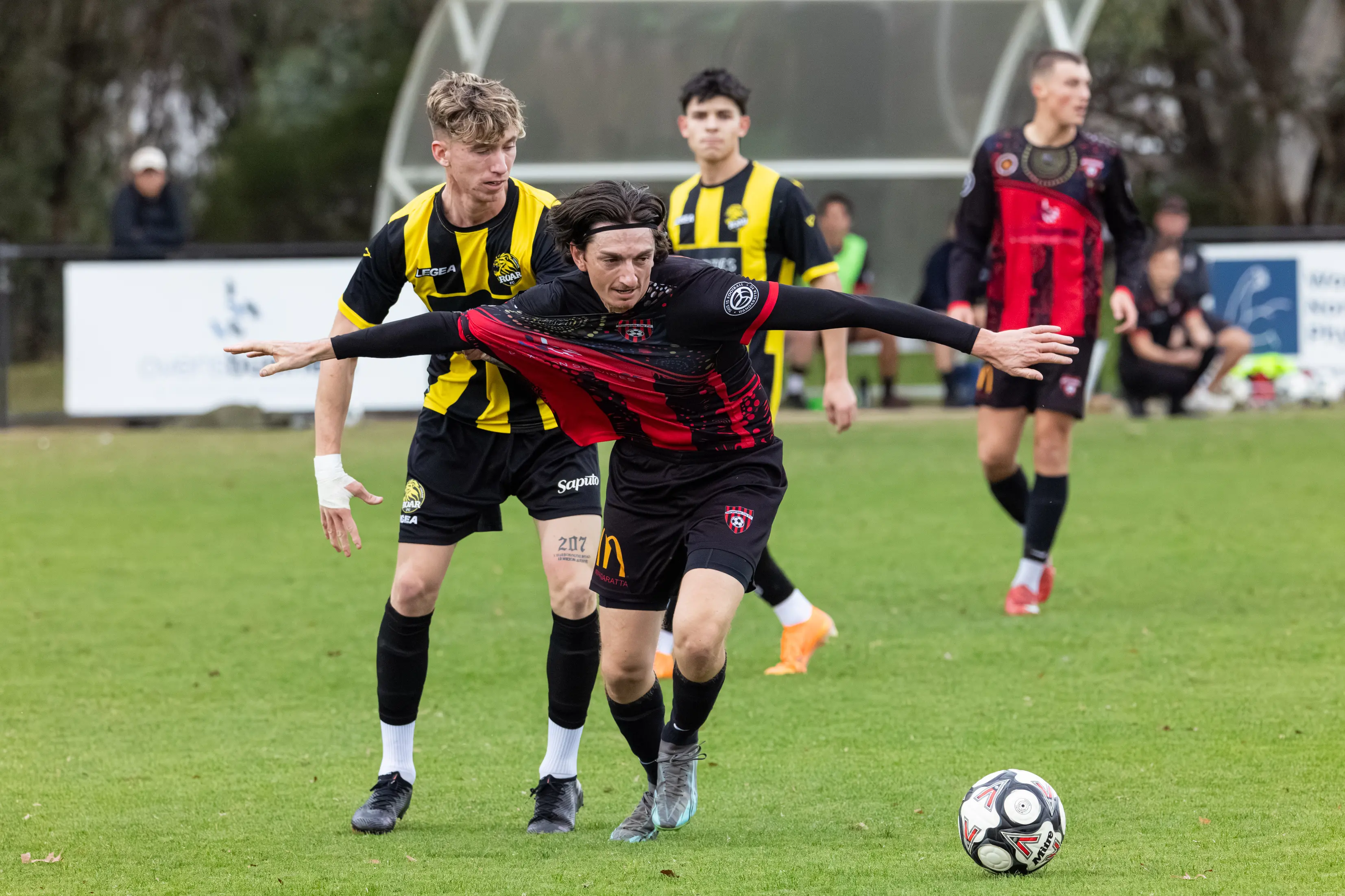 <p>HALFWAY THERE: Justin Cirillo and the Devils host St Pats to close out the first half of their season. PHOTO: Marc Bongers</p>\\n
