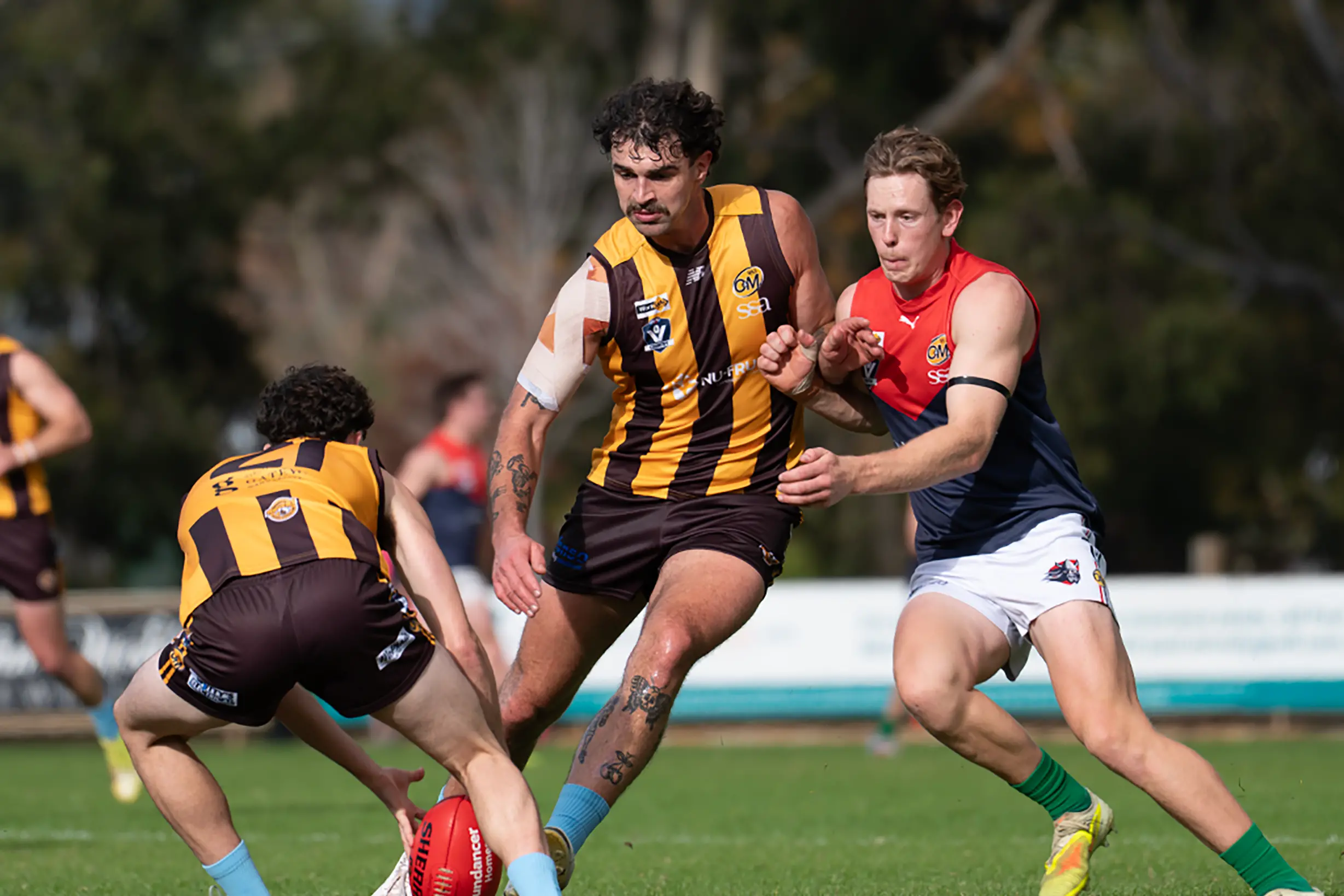 Hawks, ‘Pies dominate in O&M return