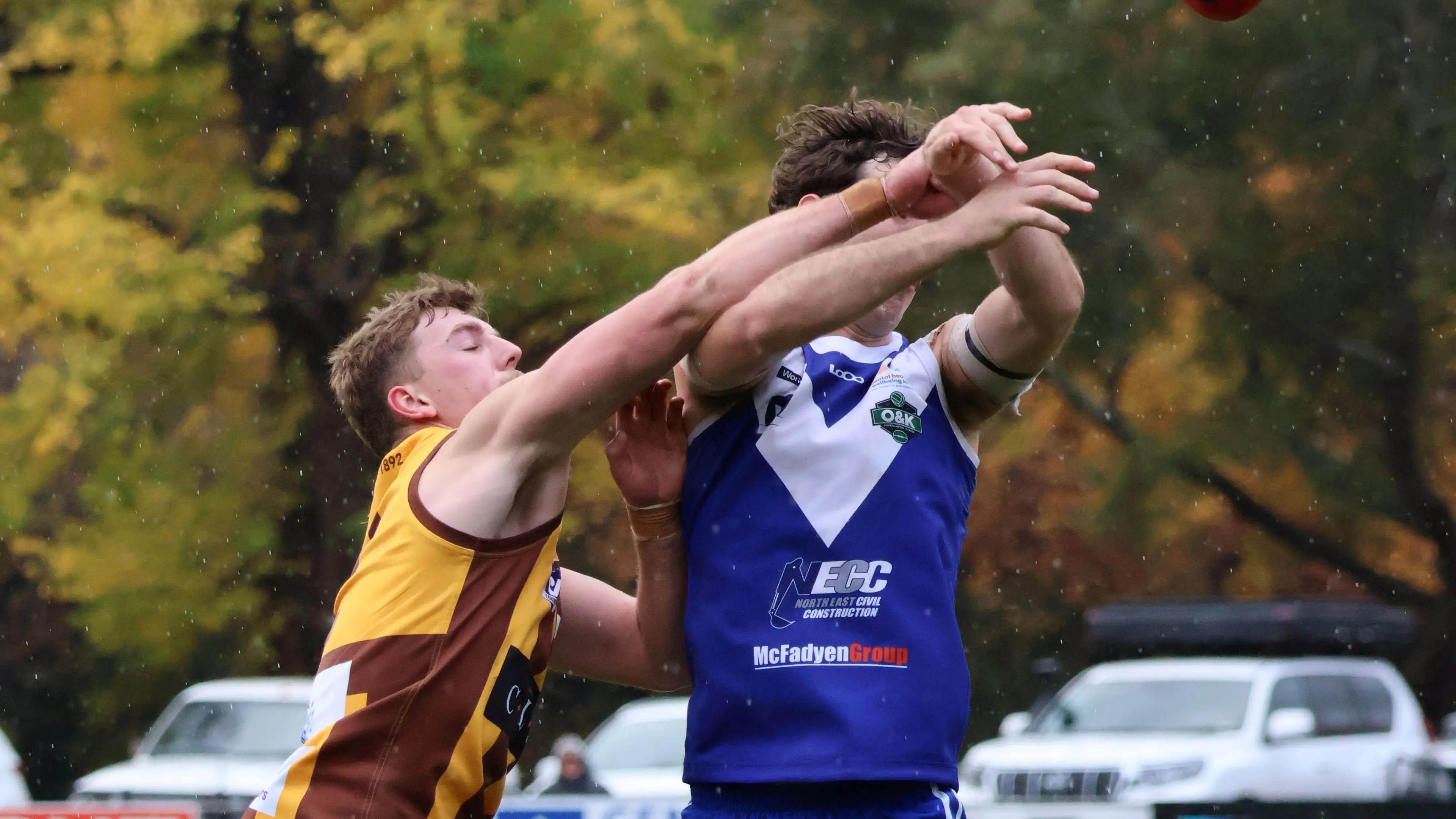 North Wang knock off premiers for second time, Lions get even with Hoppers