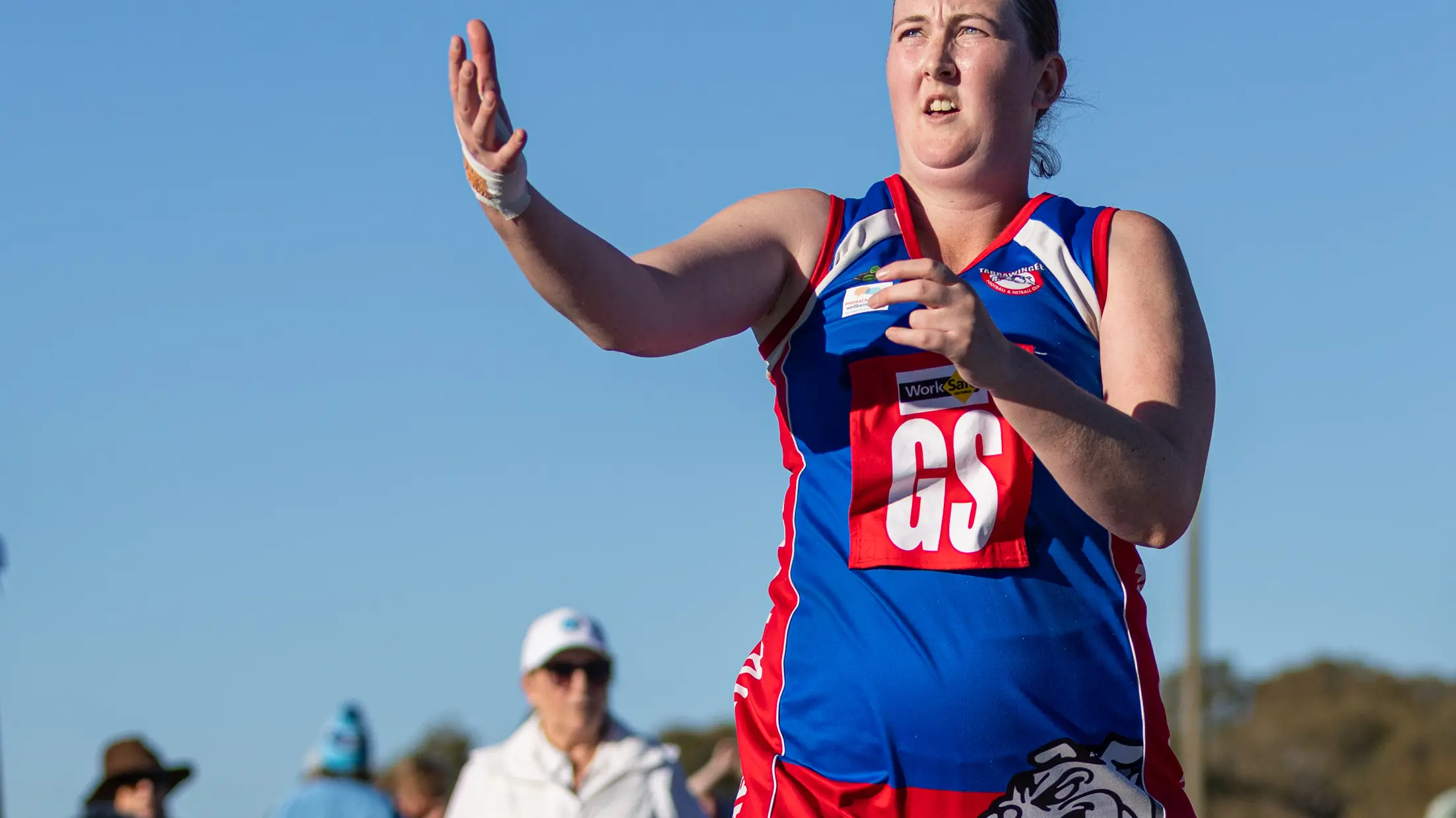 Dogs defeat Blues to round out first half of season
