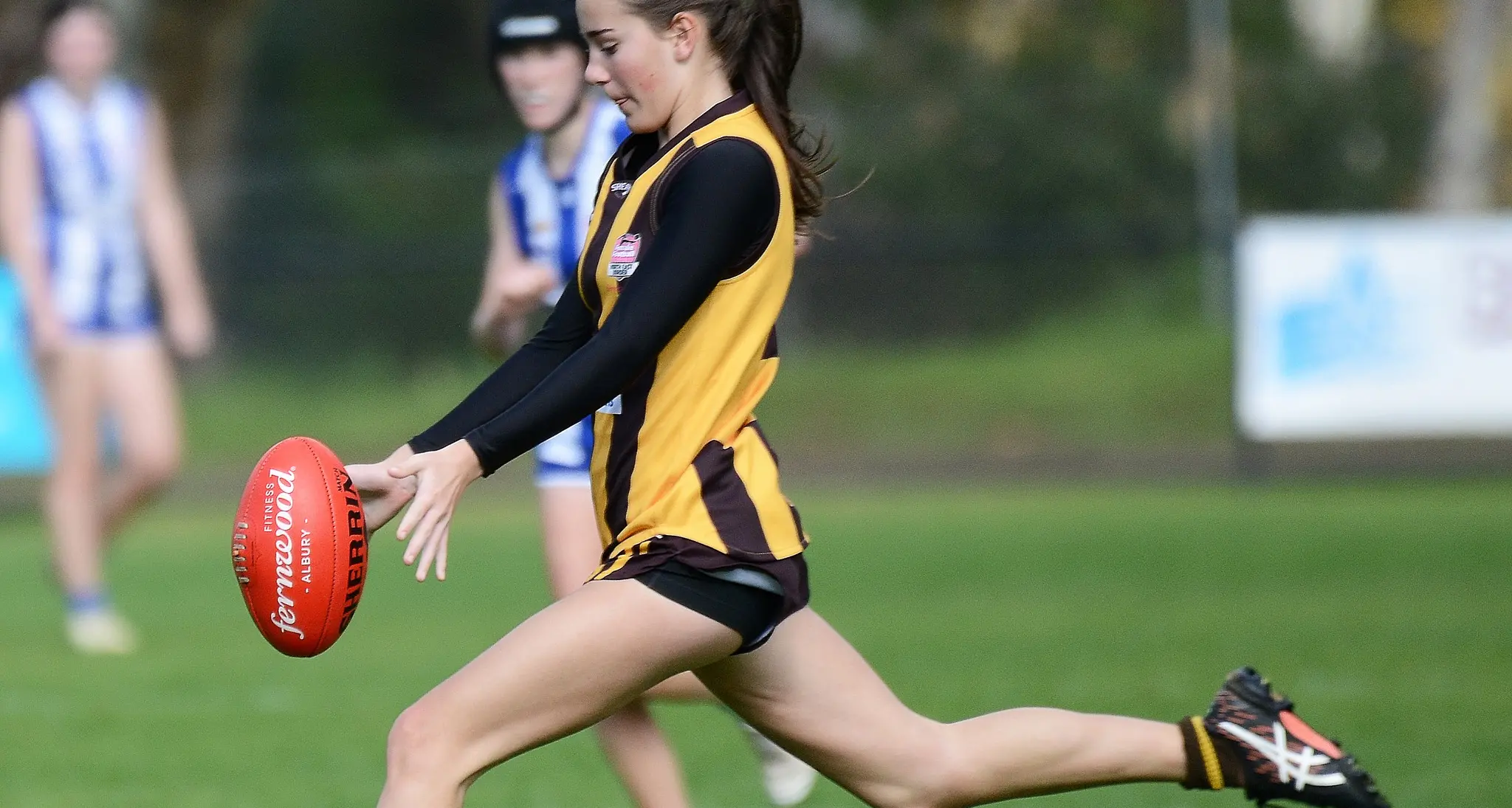 Hawks fight hard against bounding Roos