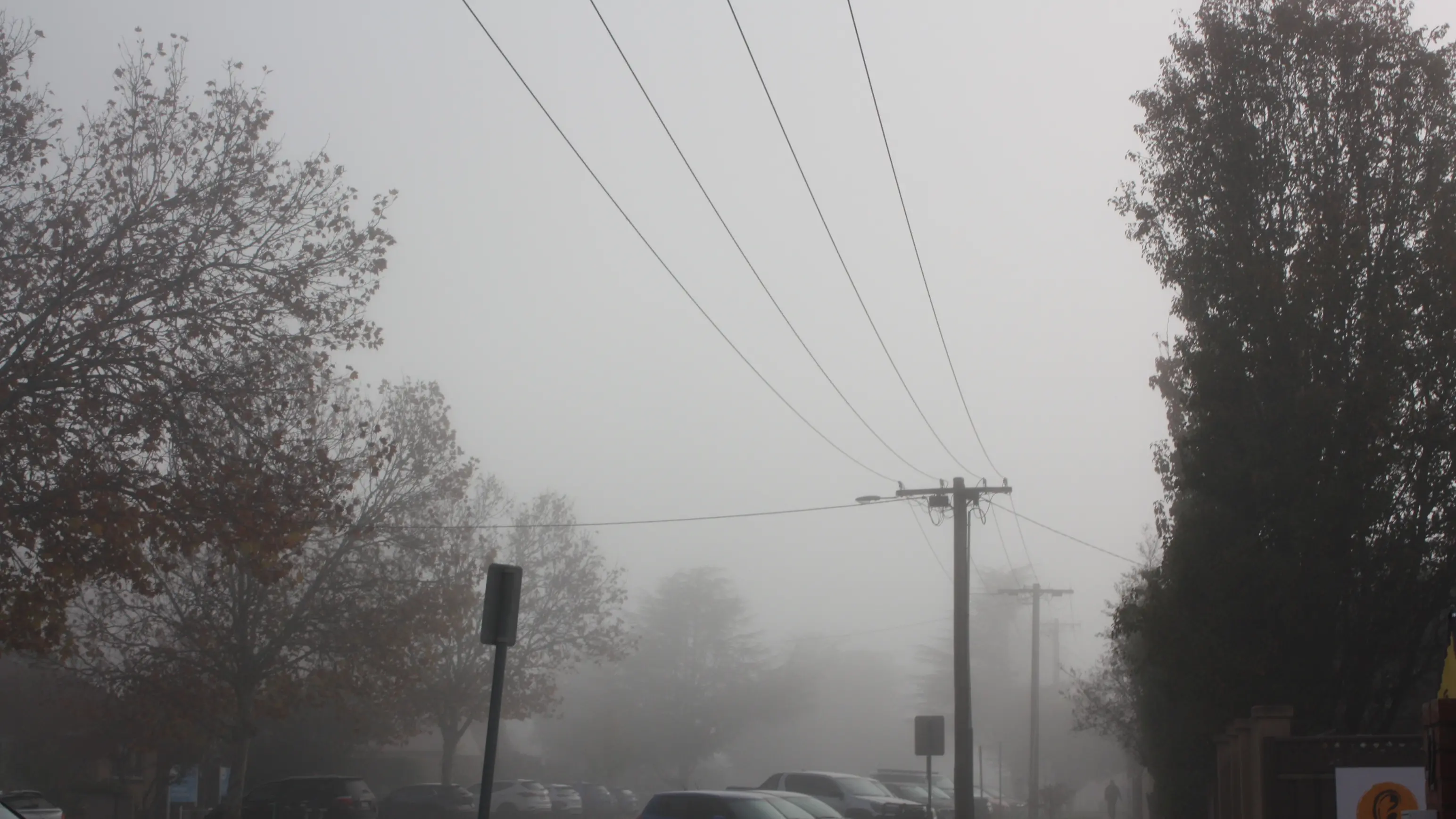 Fog, rain and cooler days signal Wangaratta’s start to winter