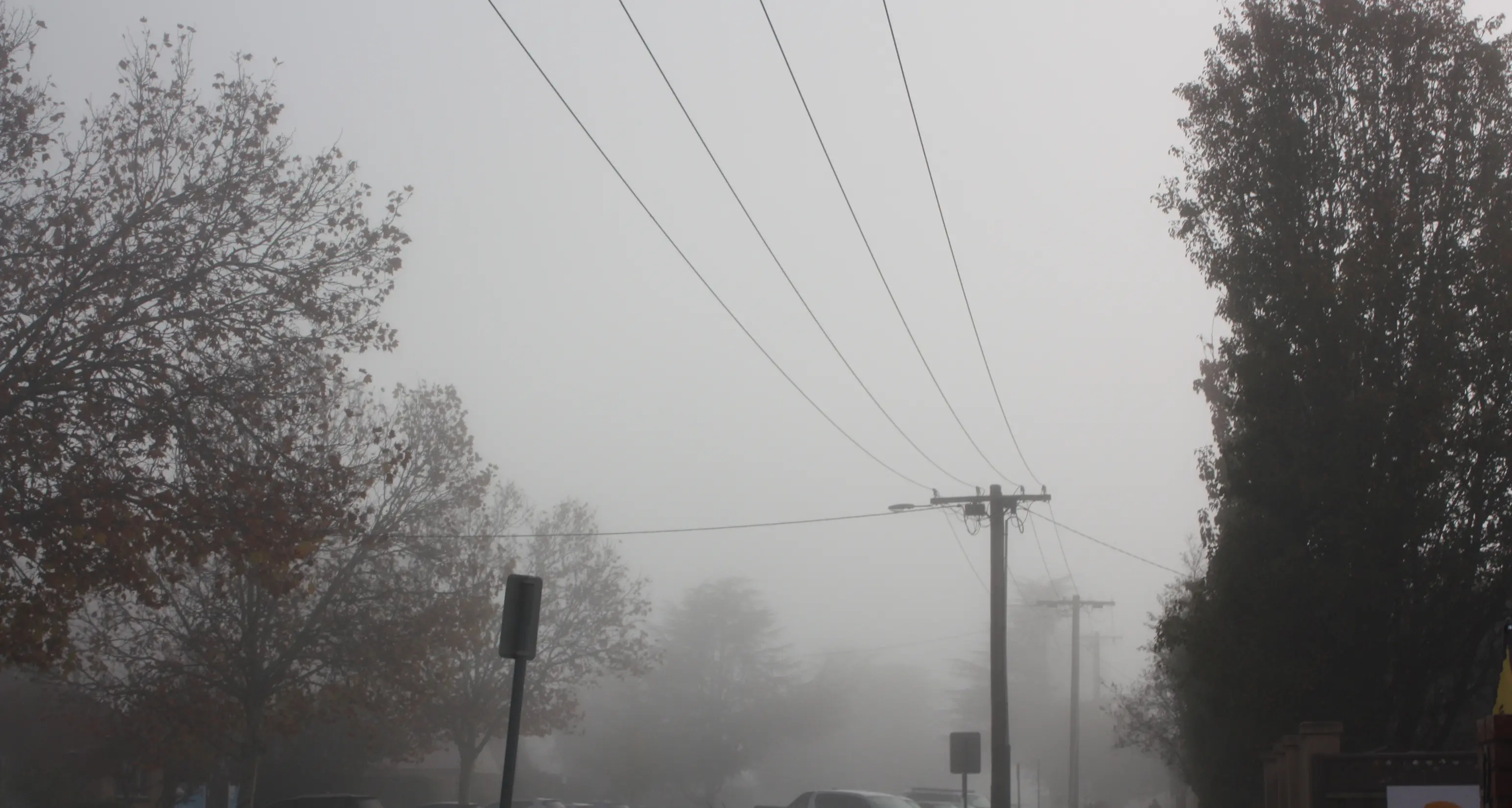 Fog, rain and cooler days signal Wangaratta’s start to winter