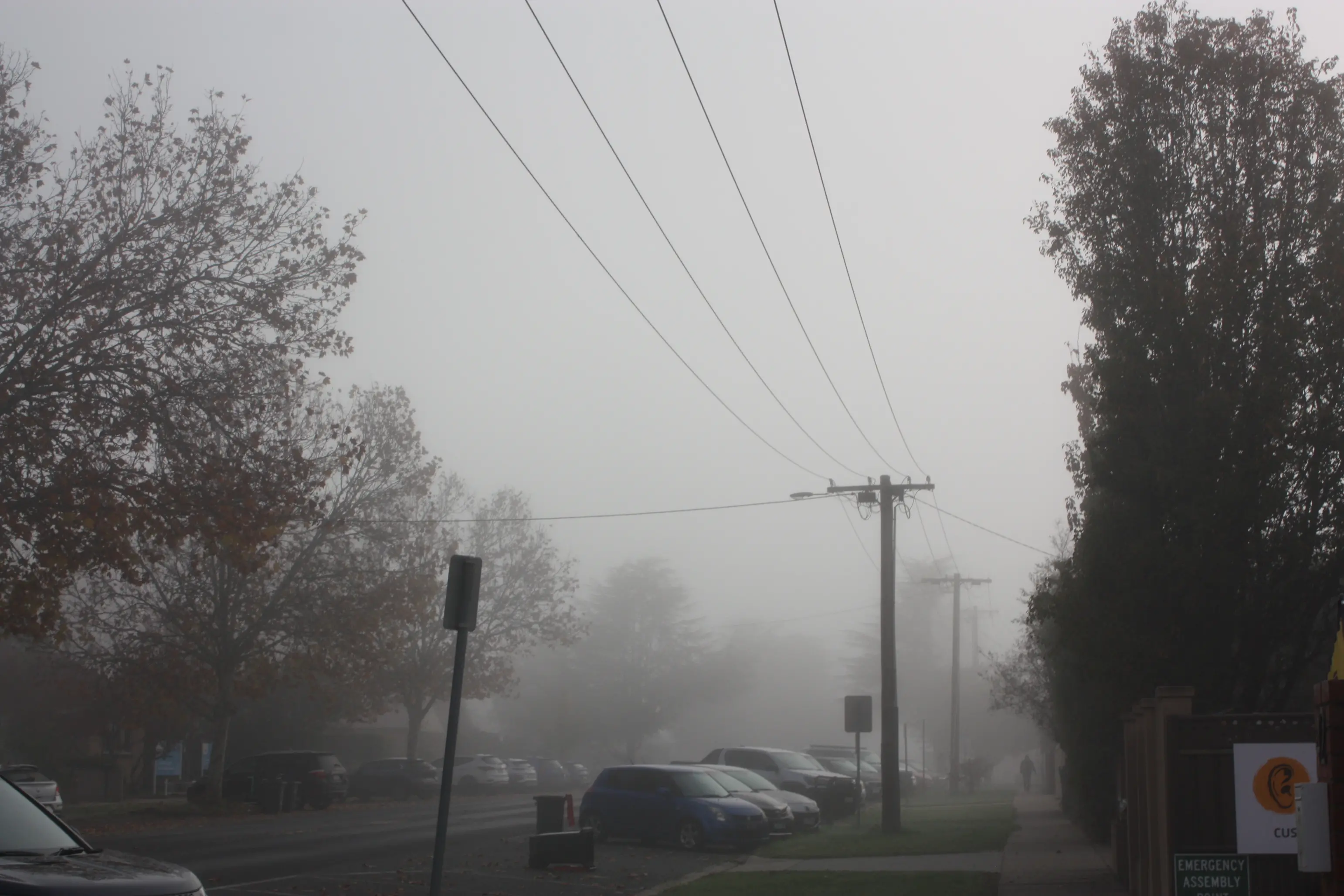 <p>FOGGY START: The first week of winter is off to a foggy start for Wangaratta. PHOTO: Jordan Duursma </p>\\n