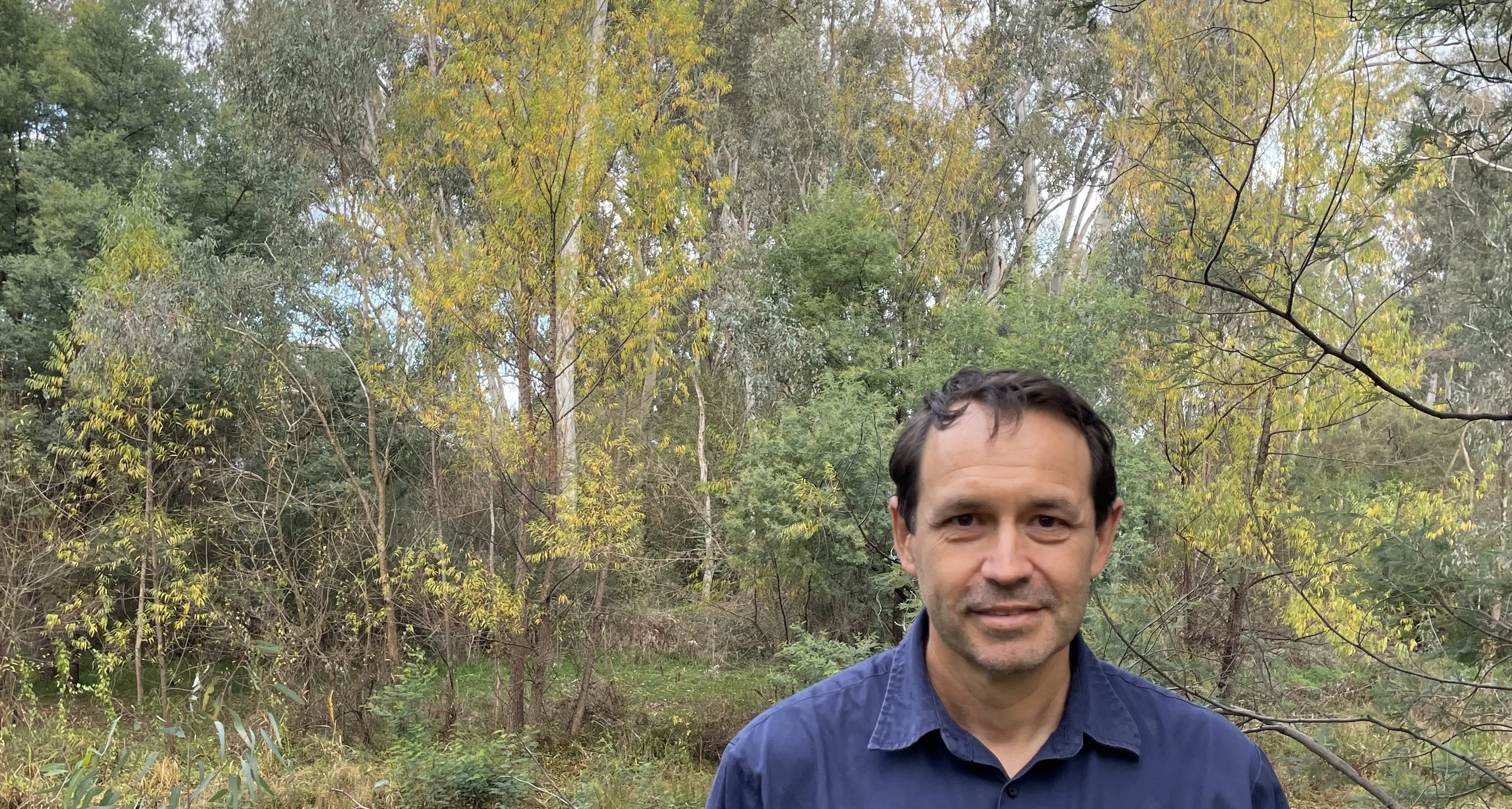 Tackling the King Valley's invasive weeds