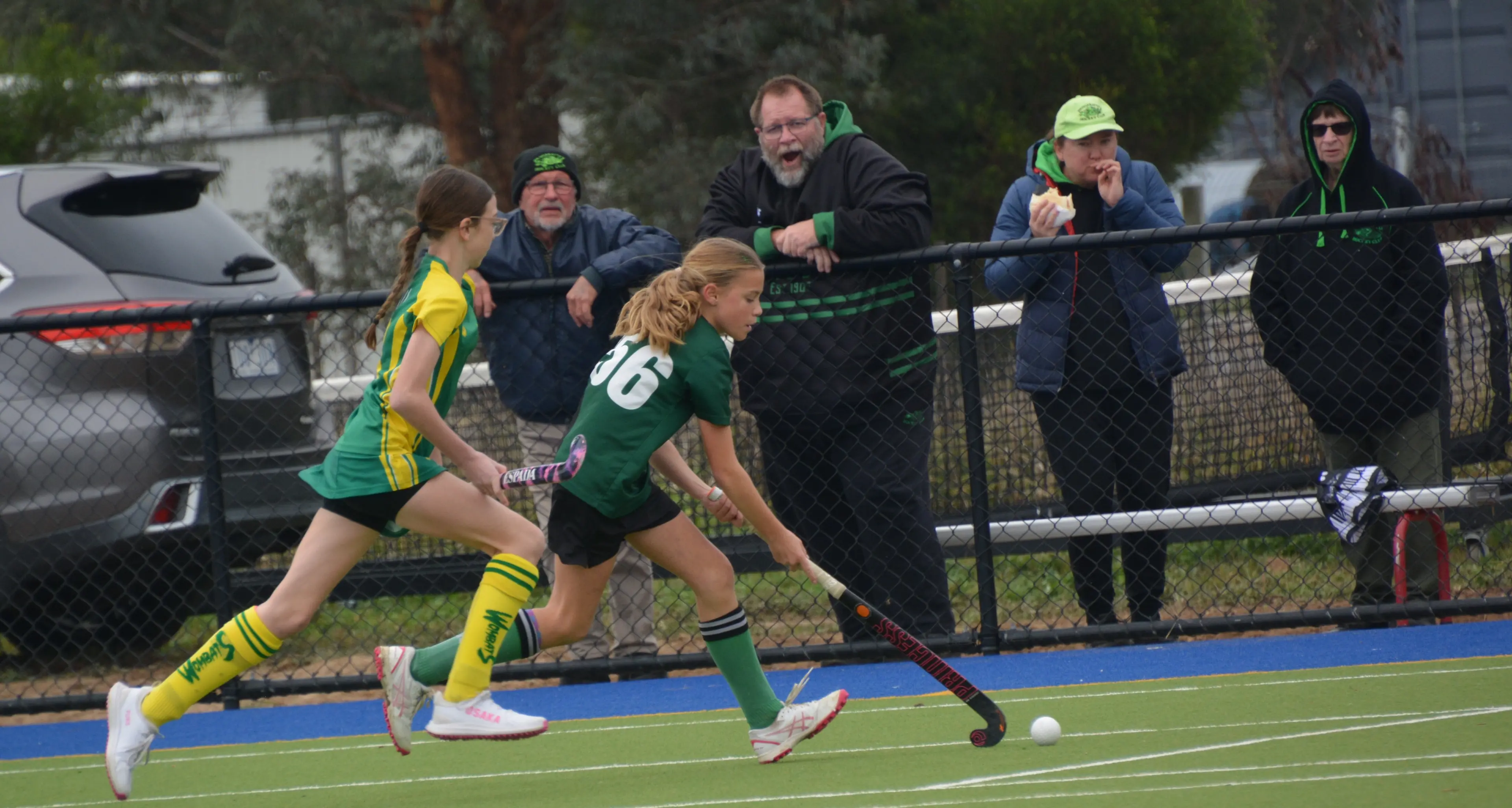 Dragons celebrate 119 years of hockey
