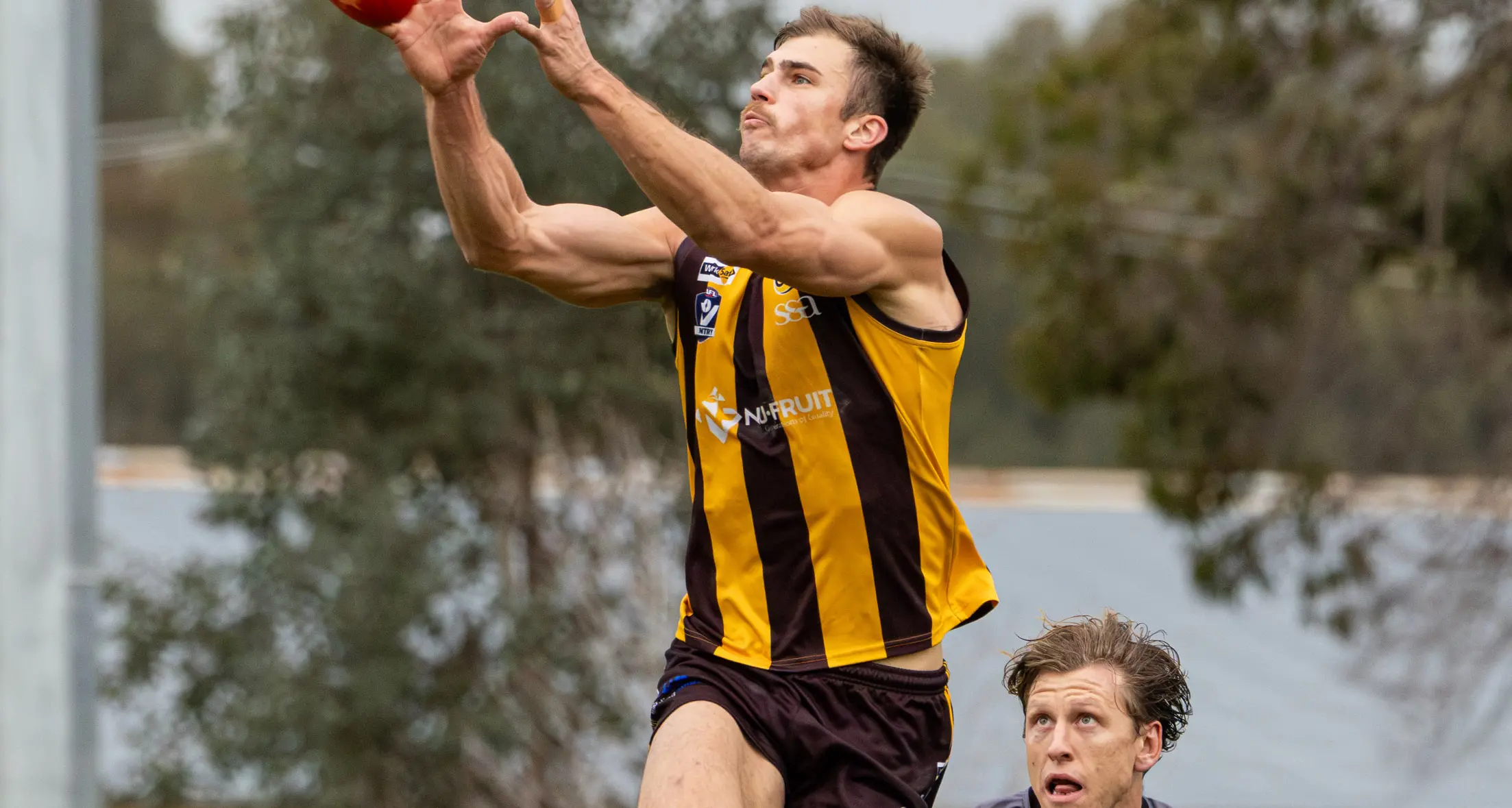 Rovers pounce on Panthers