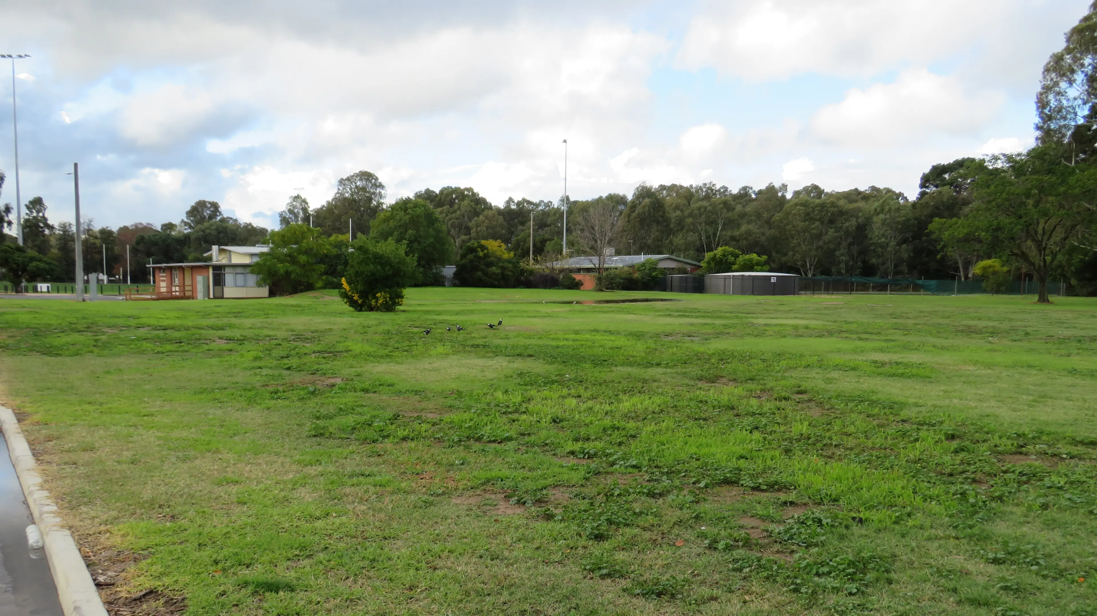 Wareena Park hub design covered in budget