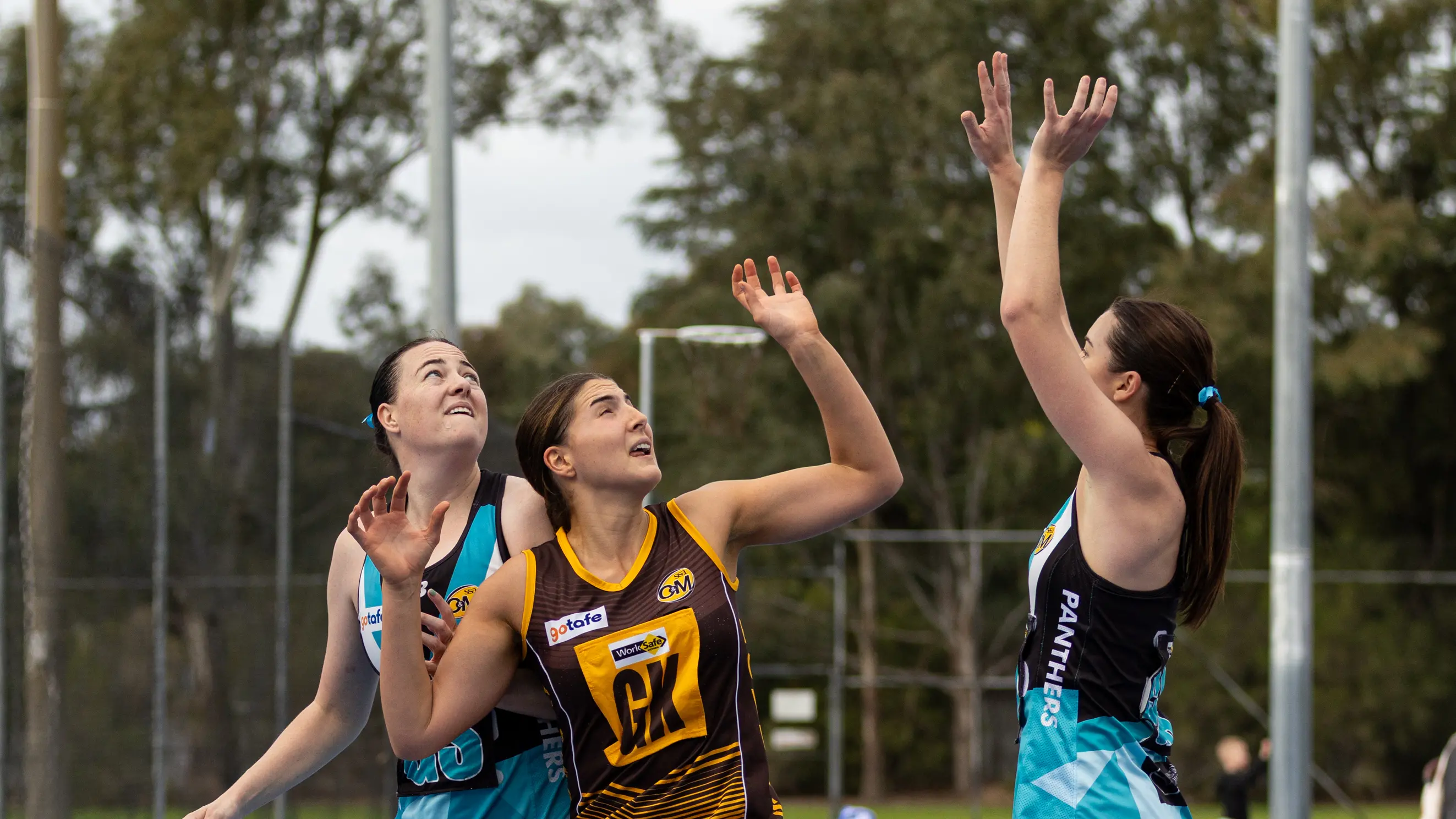 Magpies fightback earns a draw