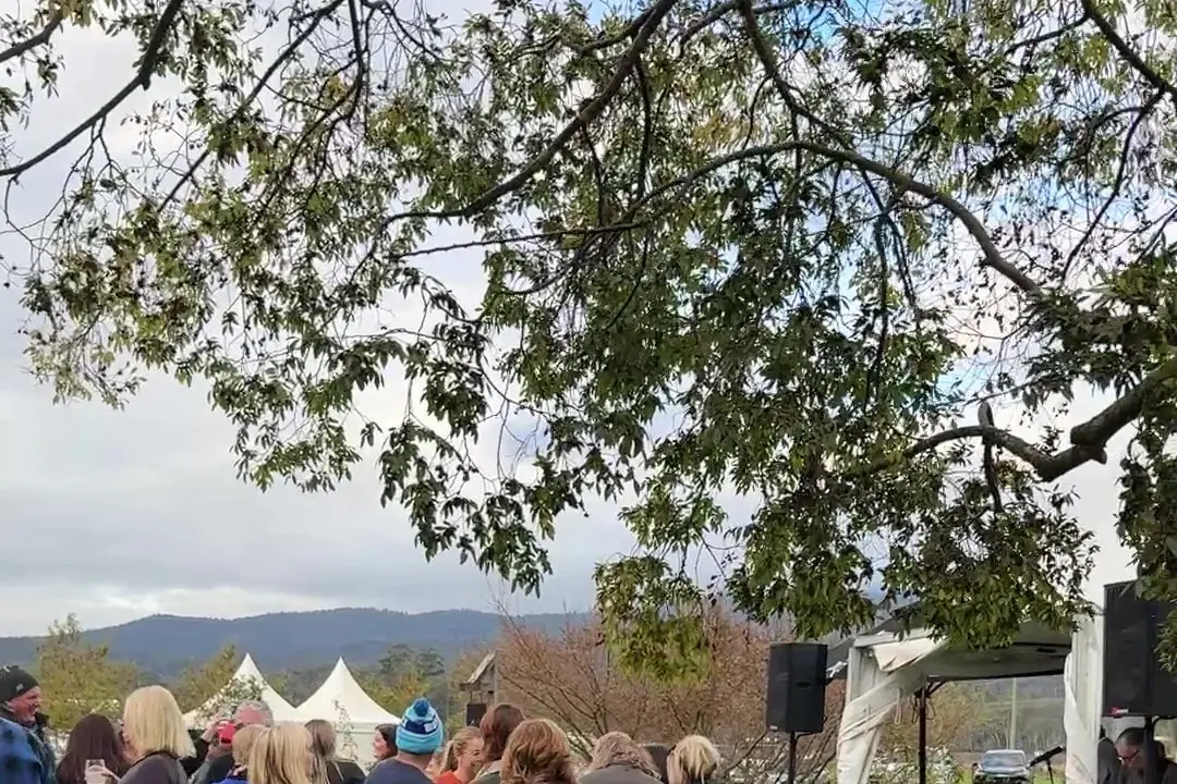 Strong turnout for Weekend Fit for a King festival