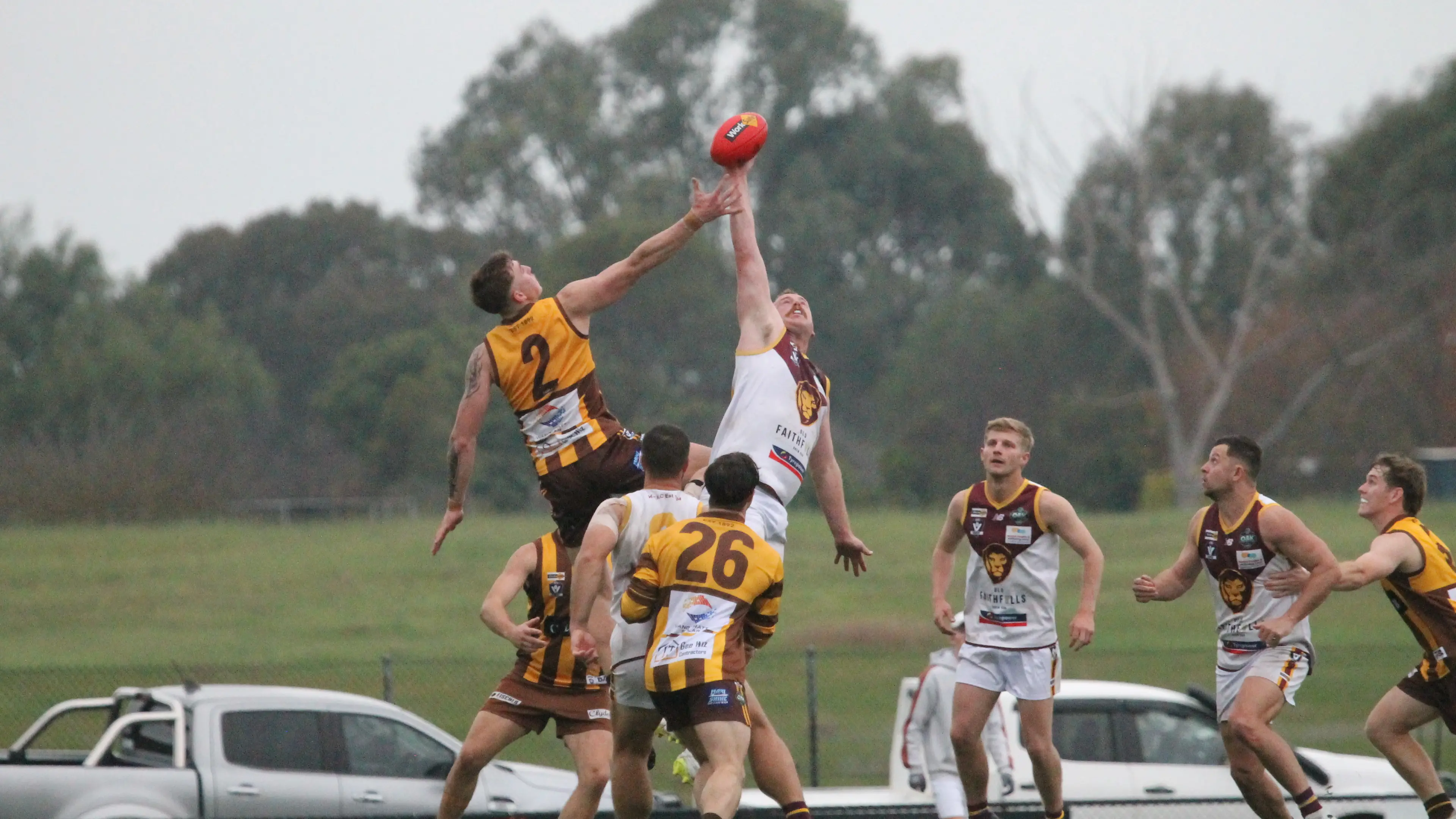 Lions claim top spot from Hawks