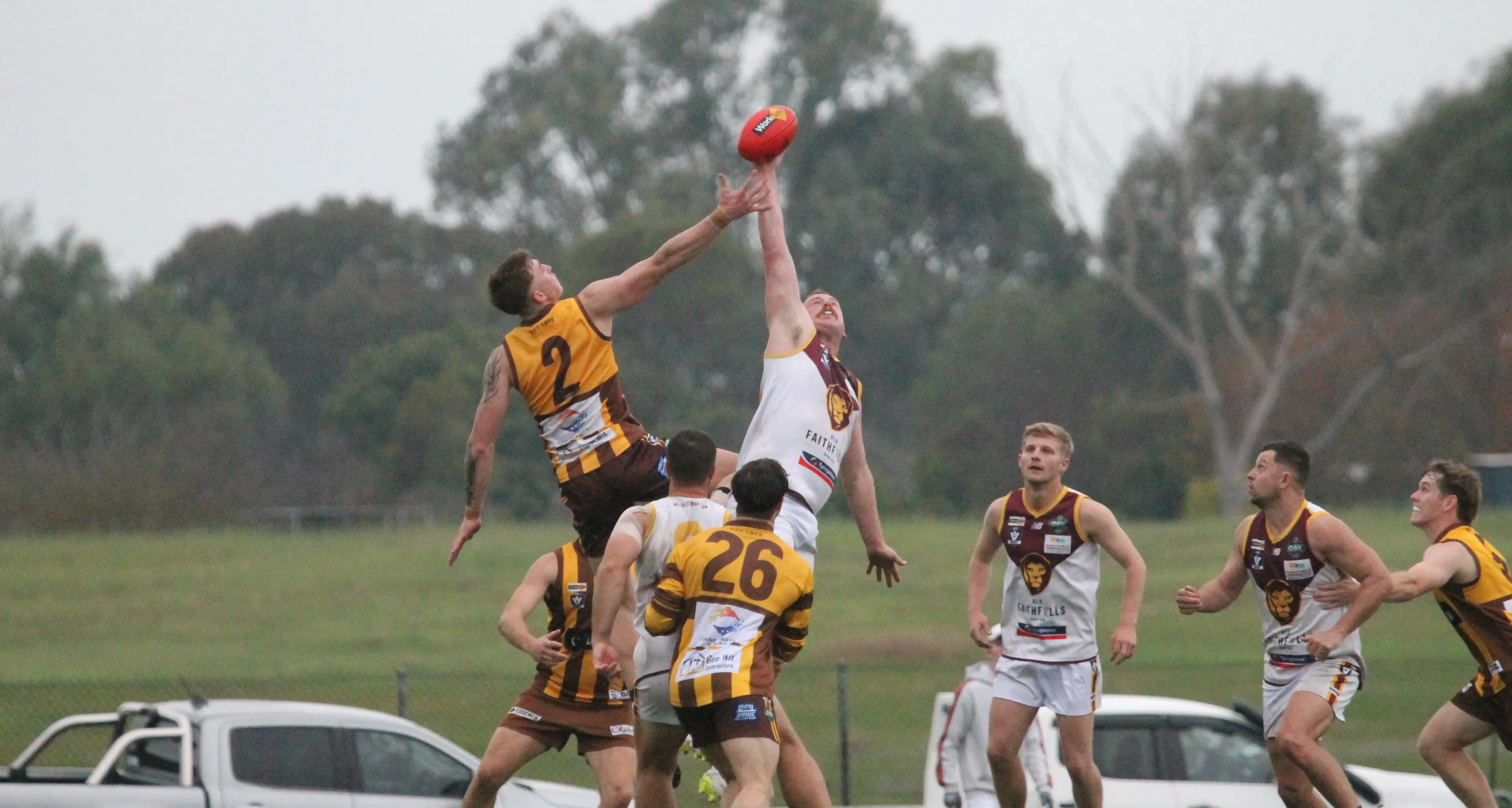 Lions claim top spot from Hawks