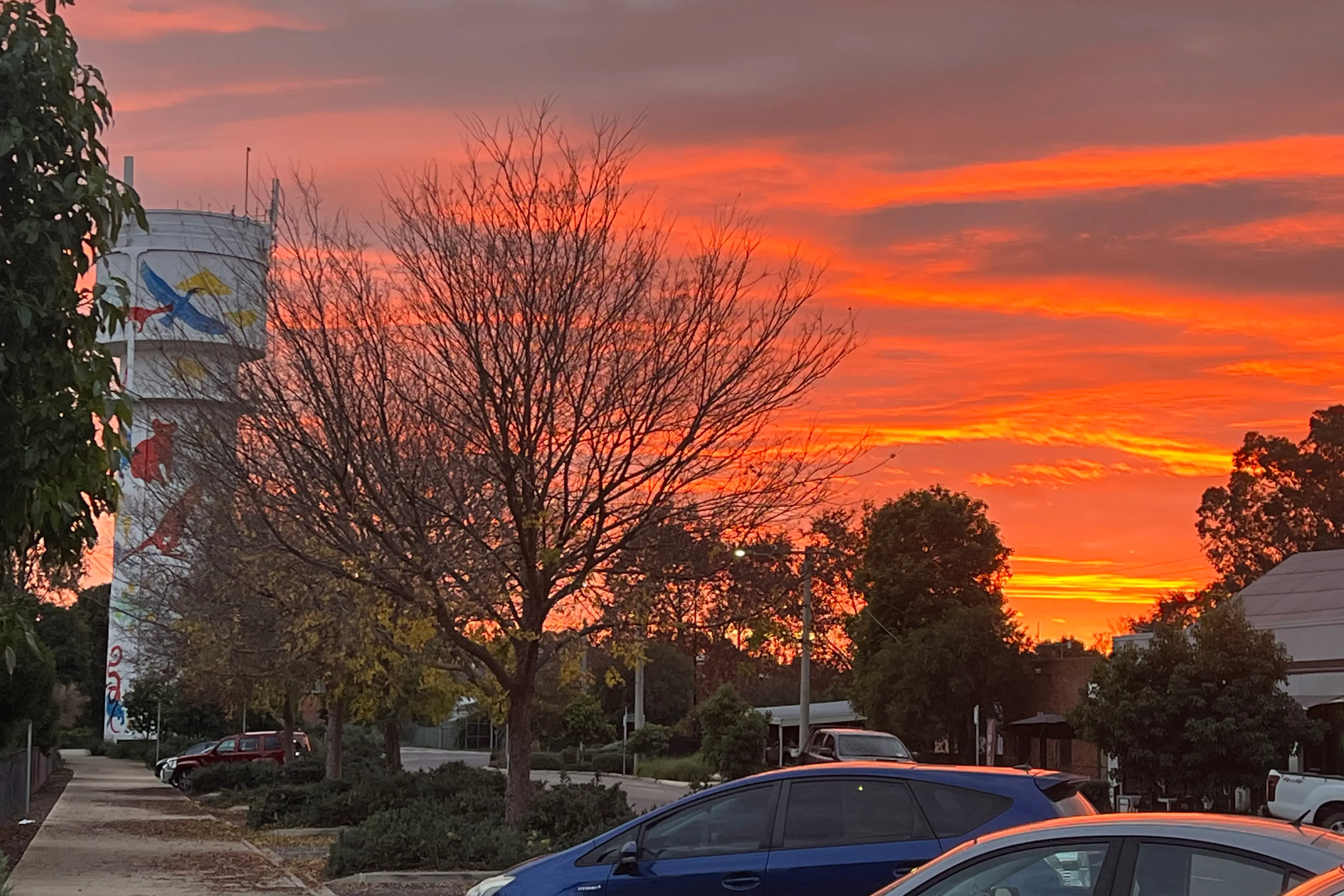 <p>WARMER WEATHER: Wangaratta has been waking up to warmer mornings with no frost so far this June. PHOTO: Jeff Zeuschn</p>\\n