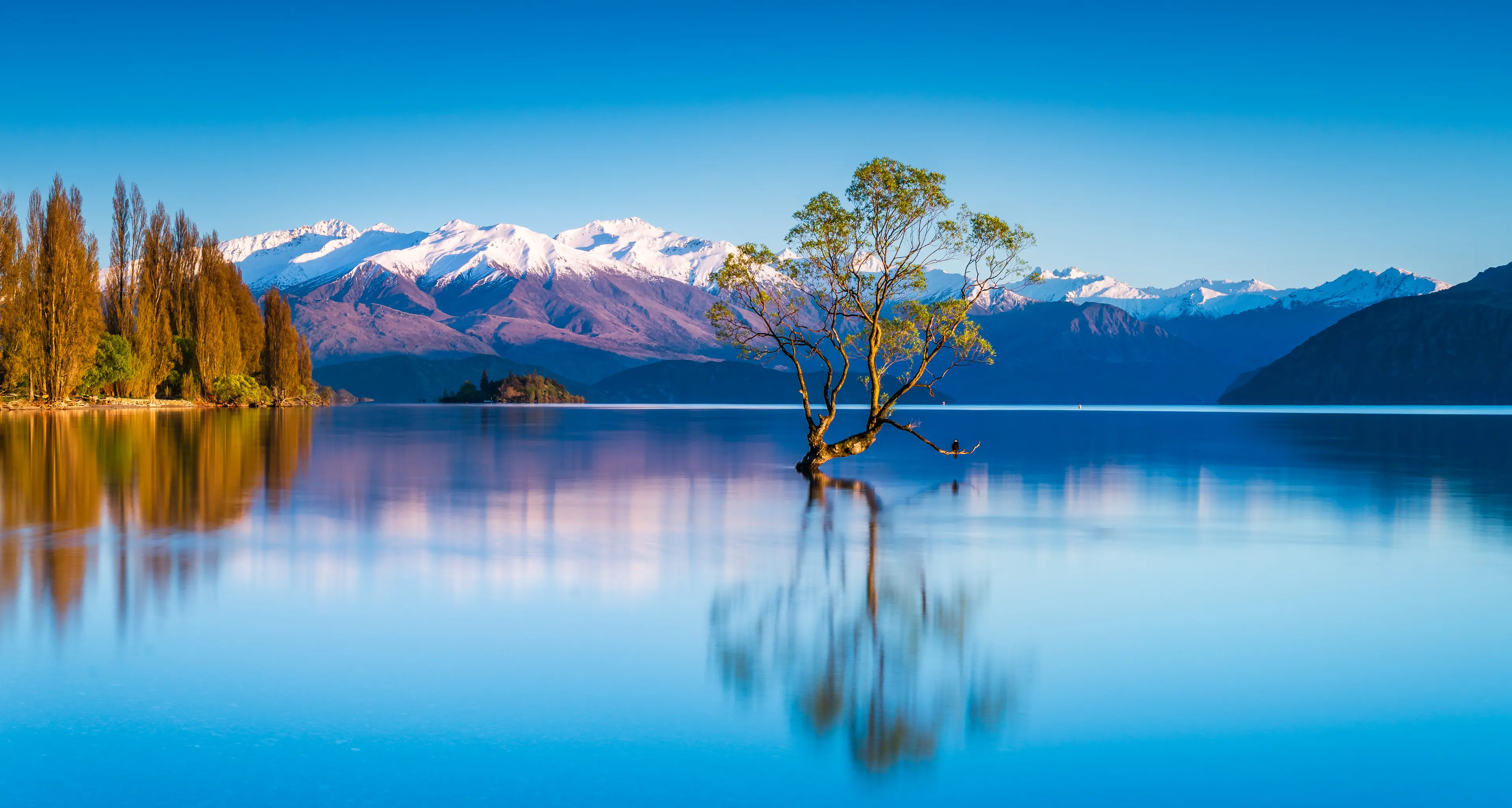 Peter Bridle captures nature from summits to streams in upcoming exhibition