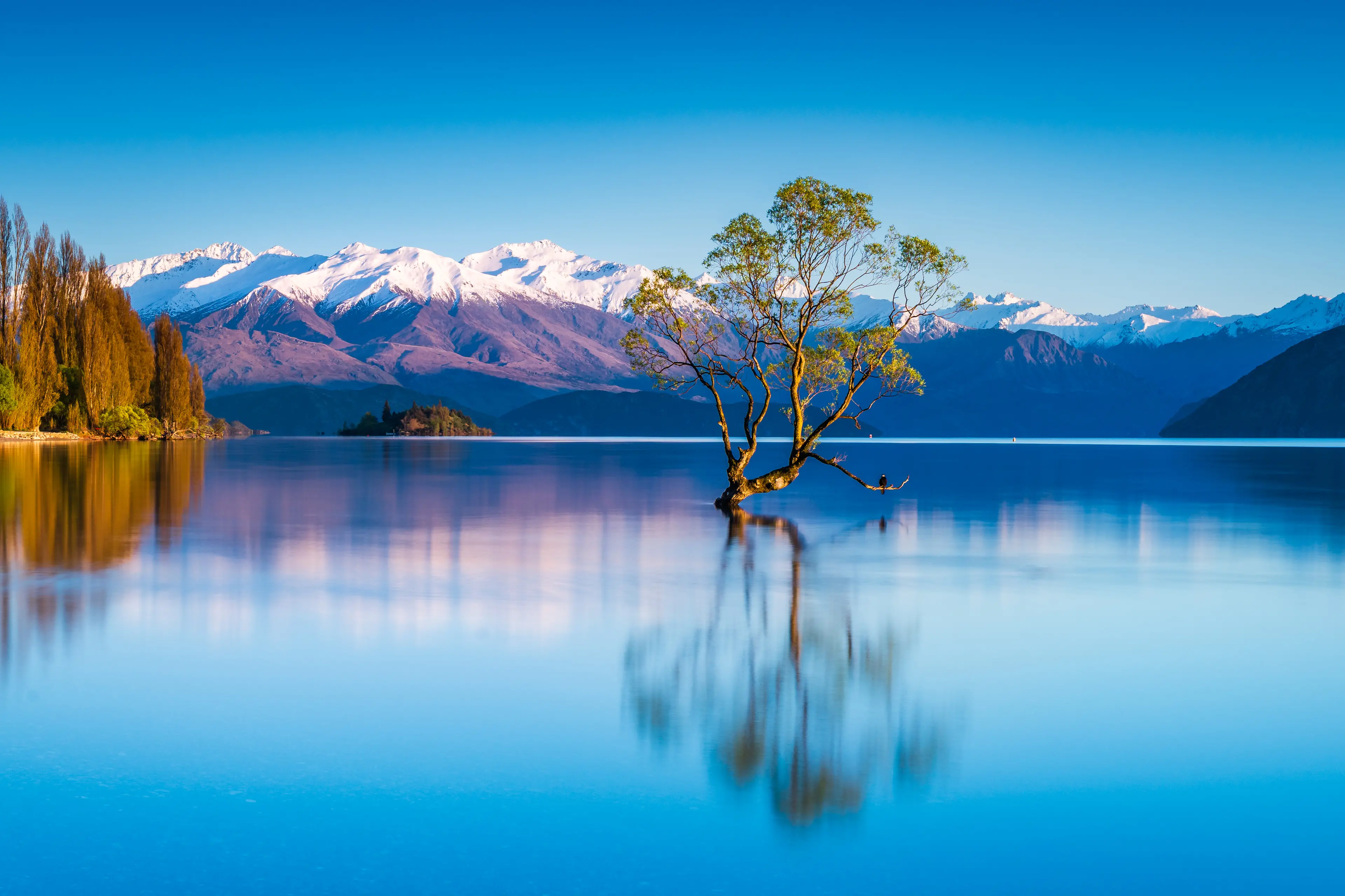 <p>IN AWE OF NATURE: Peter Bridle\\'s exhibition \\'Mountains and Streams\\' features landscapes from remote locations including Scotland, New Zealand, Tasmania and the Australian Snowy Mountains.</p>\\n
