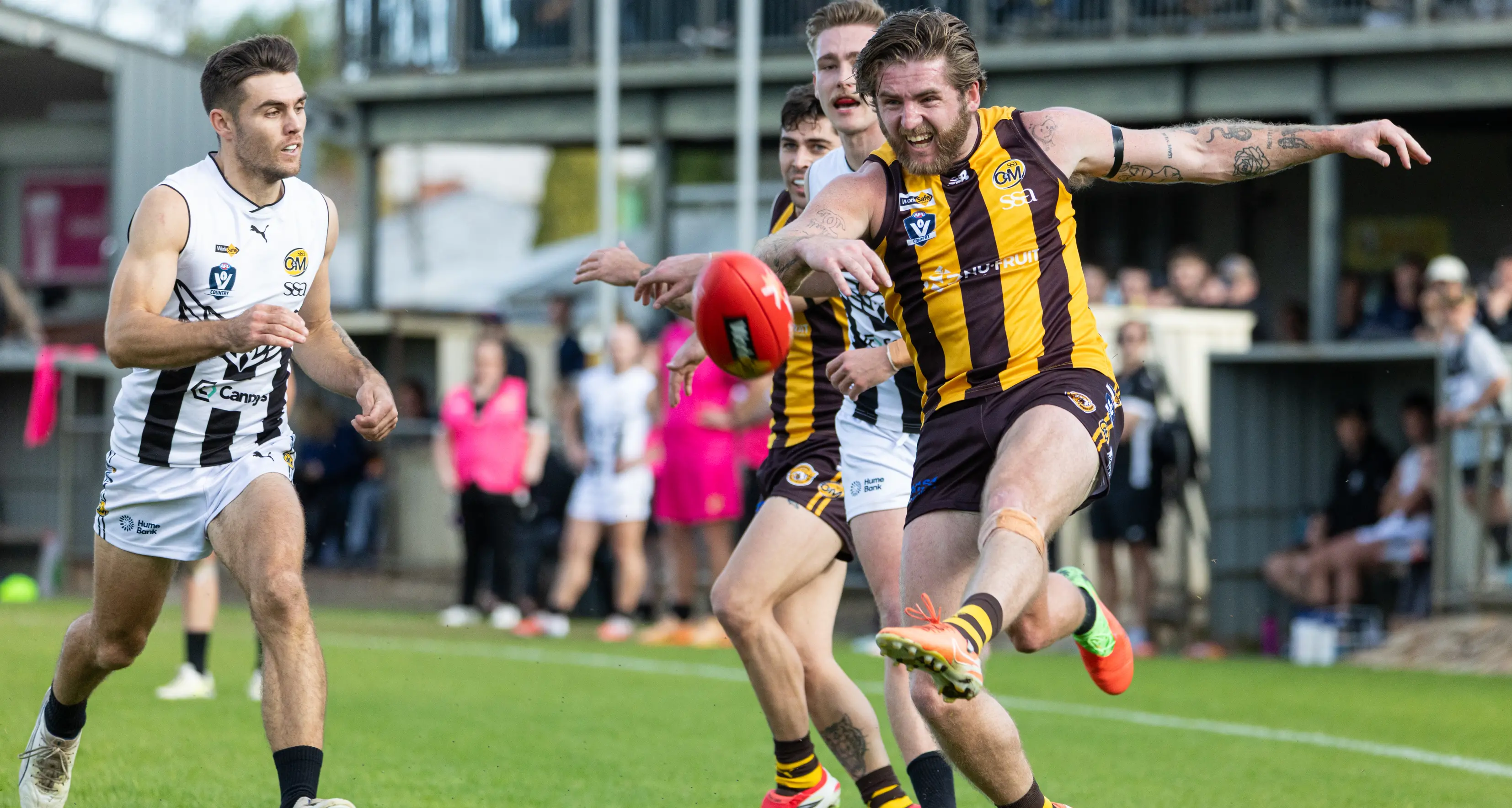 Rovers rule Wangaratta