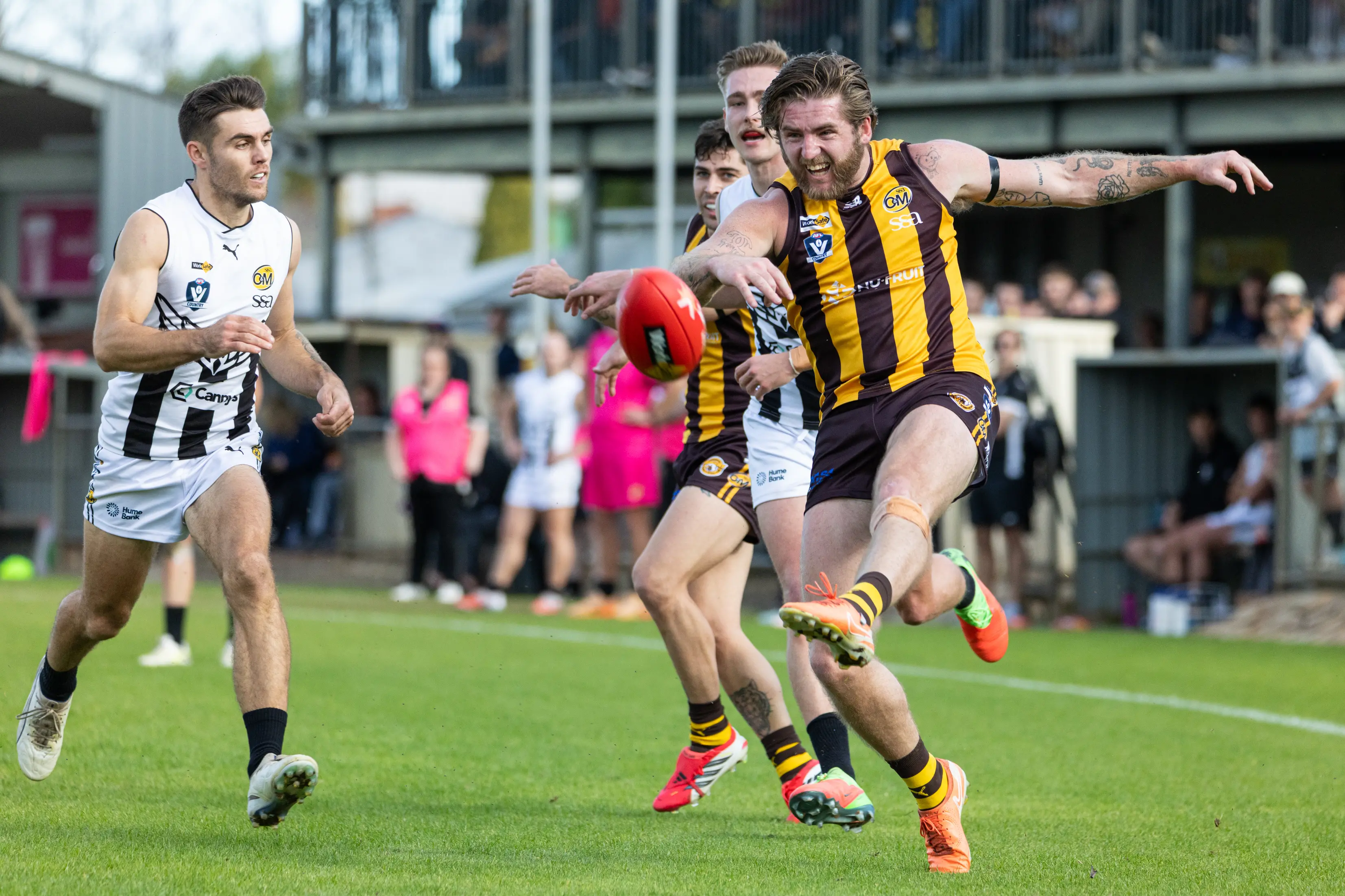 Rovers rule Wangaratta