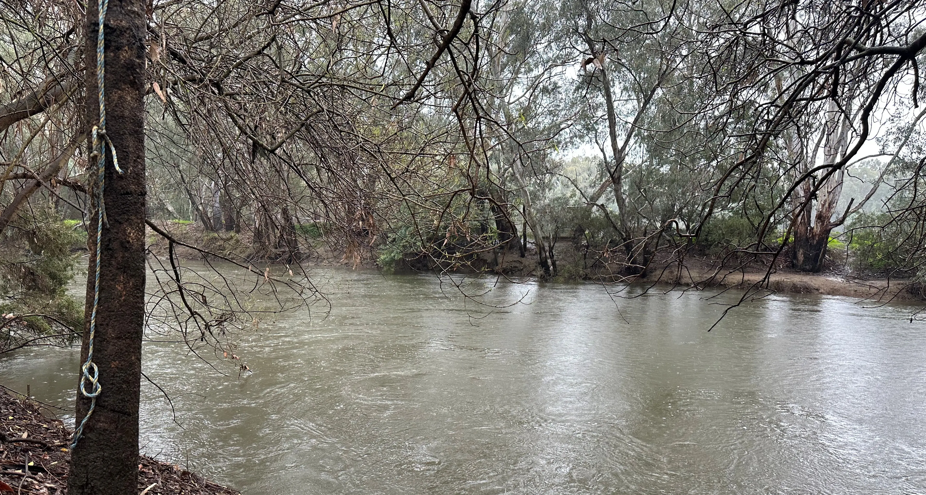 Wangaratta on flood alert as multi-day deluge hits