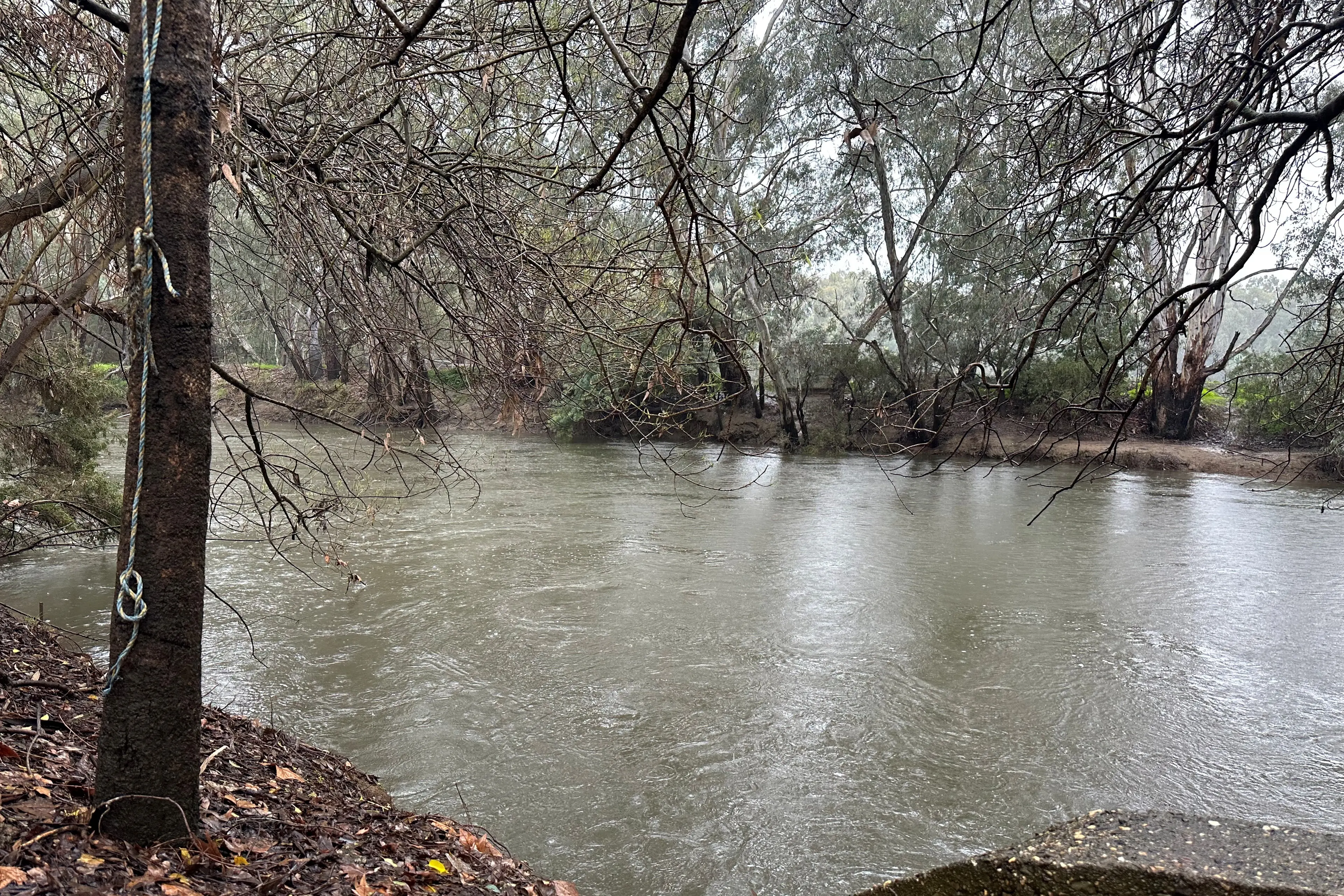 <p>FILLING UP: The Ovens and King River catchments across the rural city are expected to be rising towards minor and moderate flood levels as rain persists this week. </p>\\n