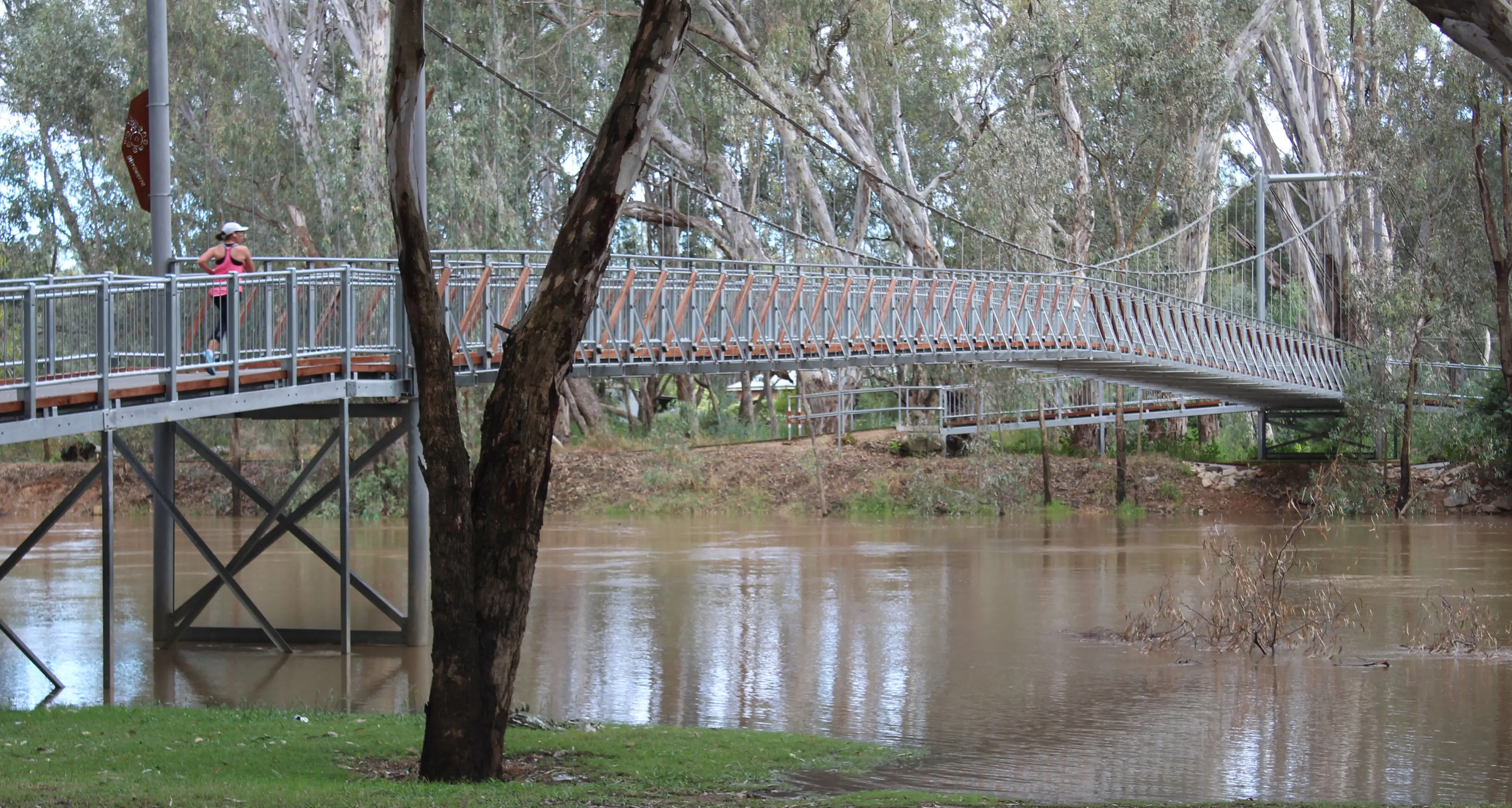 Warmer winter persists in Wangaratta