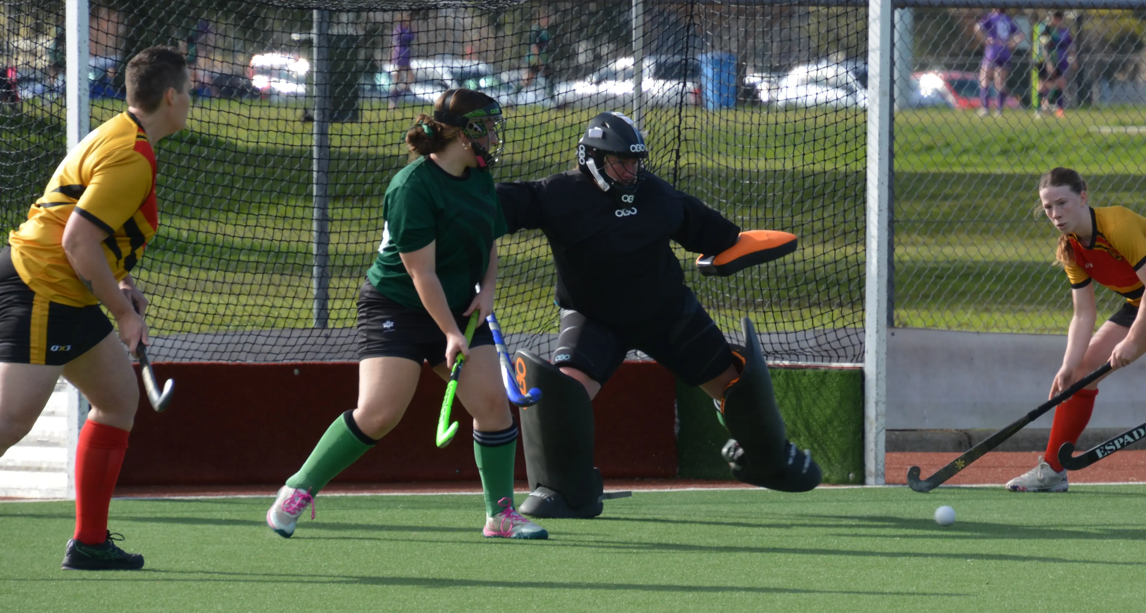 Improvements on display for Dragons