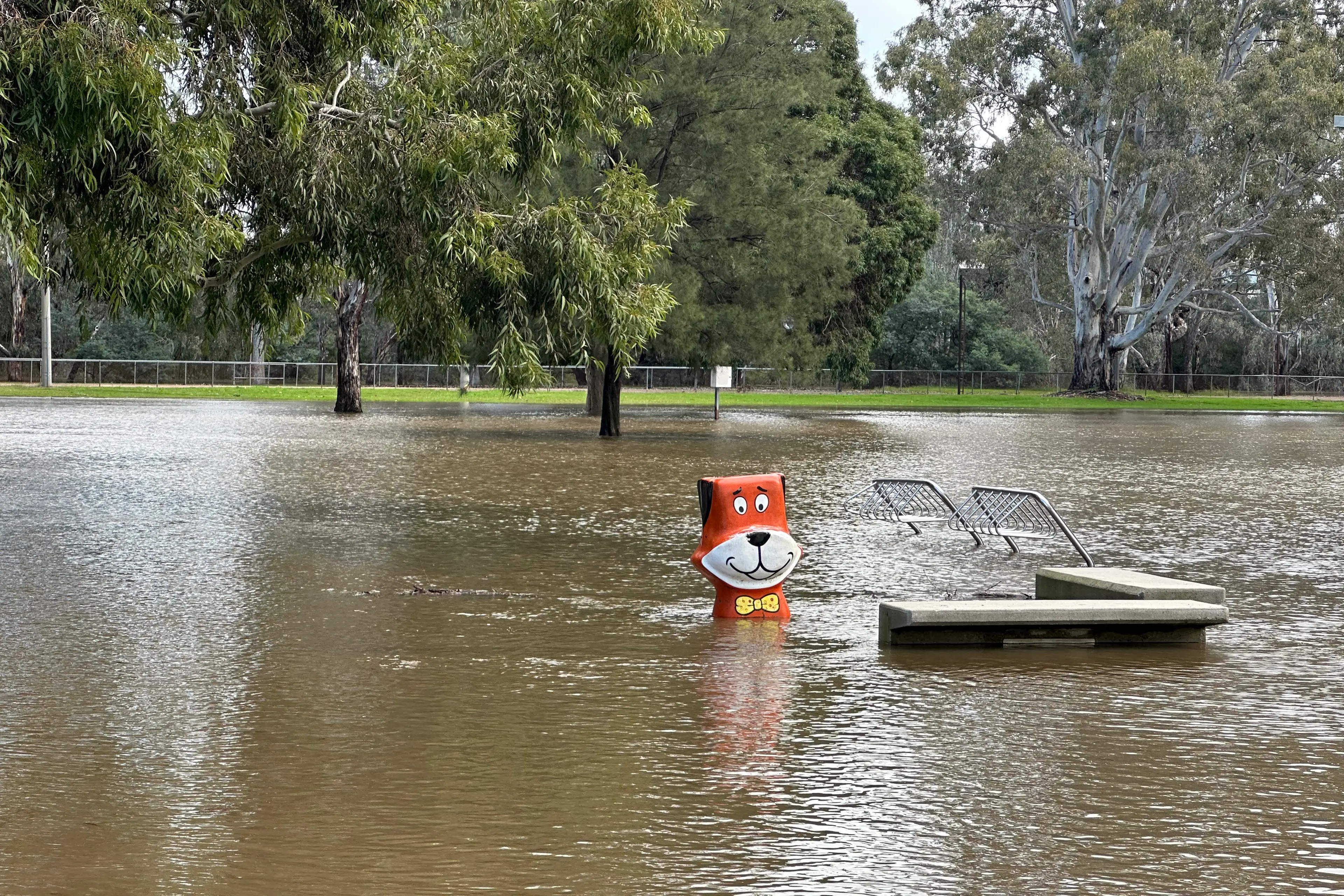 <p>HIGH WATER: The Ovens River breaks its banks at Apex Park on Friday,. PHOTO: Bailey Zimmermann</p>\\n