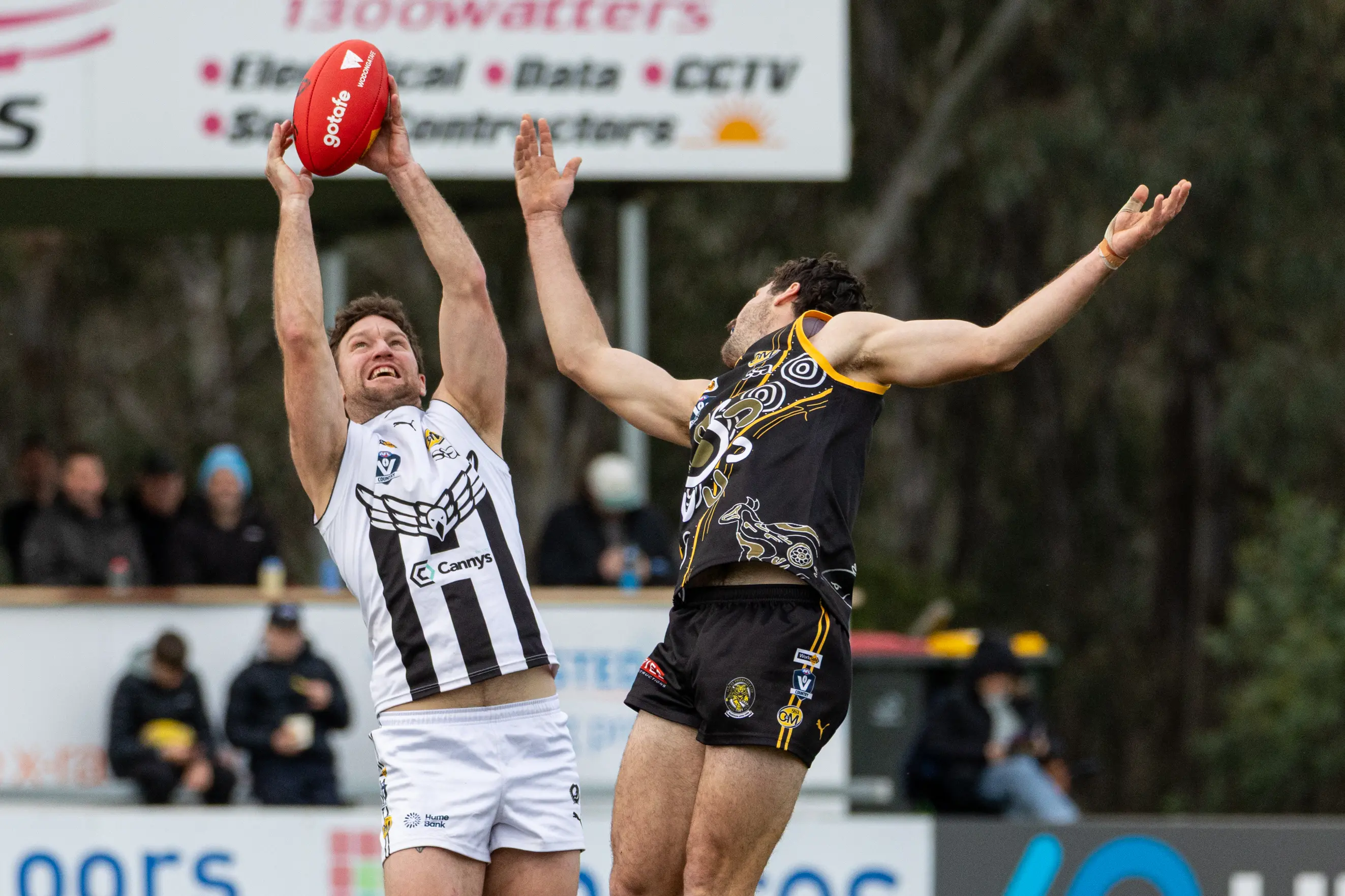 <p>BIC MAC: James McClounan takes a mark inside 50 for the \\'Pies in their 70-point drubbing of the Tigers. PHOTO: Marc Bongers</p>\\n