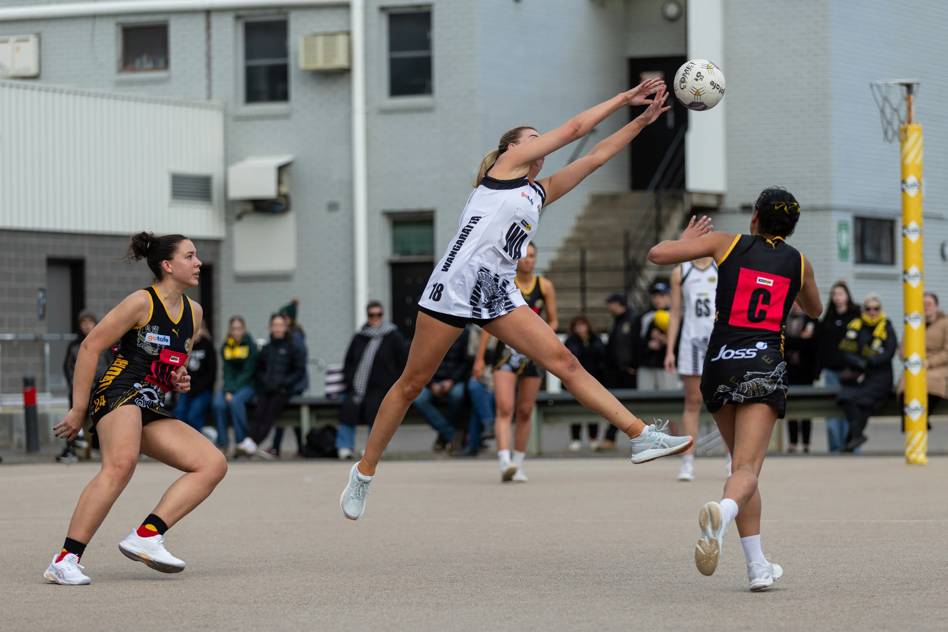 <p>MARVELLOUS MILLY: Whether in defence or midcourt Milly O\\'Kane proved a winner against Albury. PHOTO: Marc Bongers</p>\\n