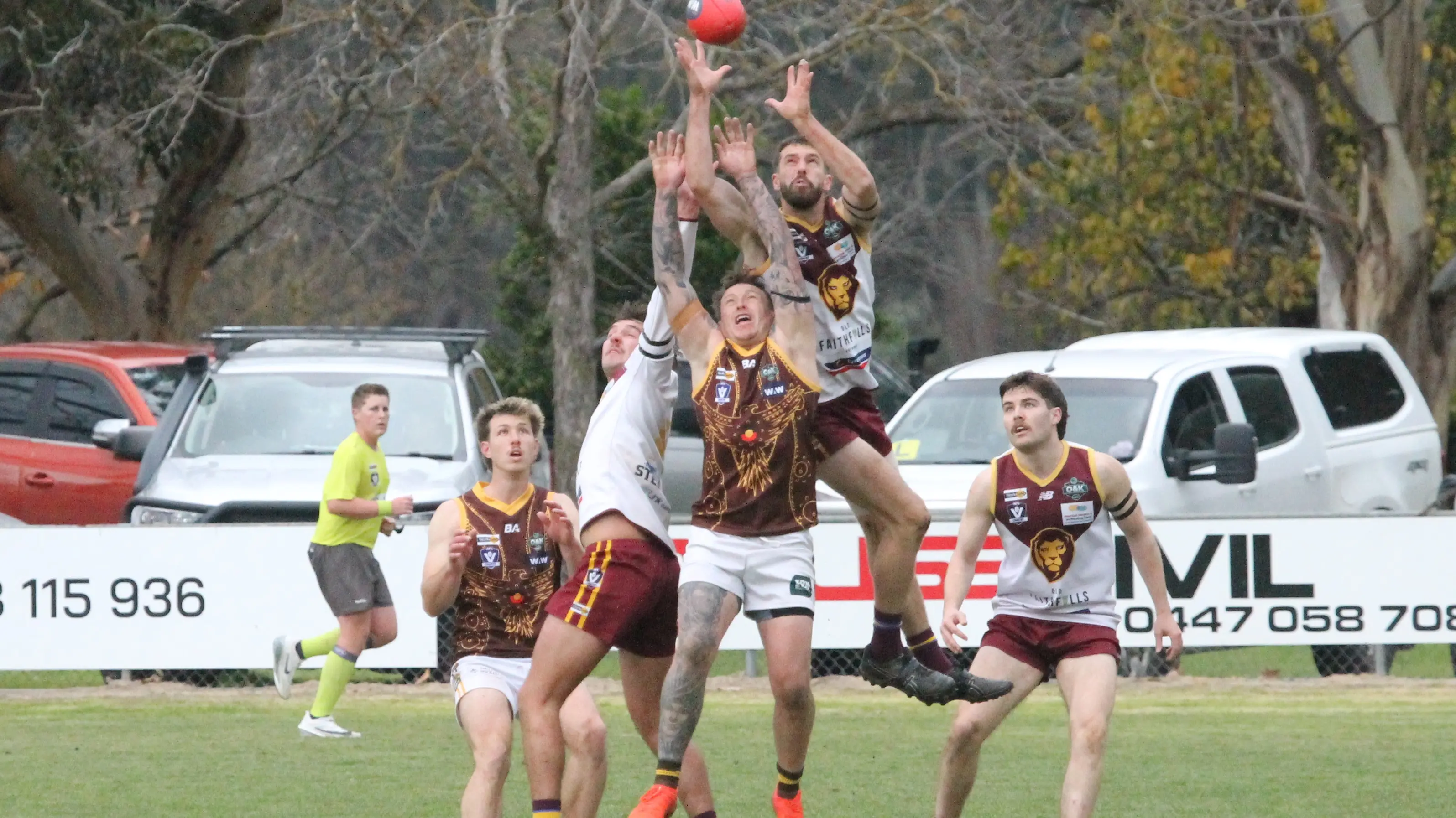 Lions roar to victory over physical Hawks