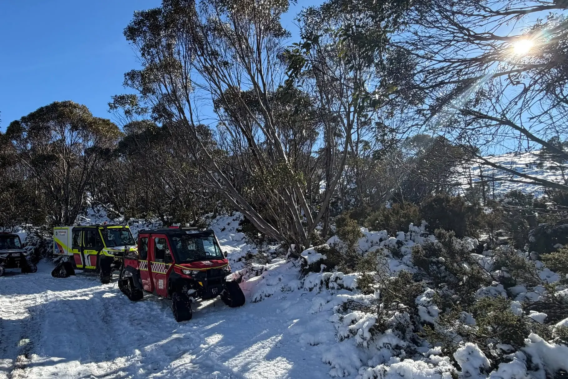 <p>JOINT EFFORT: A teenage girl was rescued from a remote area of the Bogong High Plains on Friday 10 July by emergency services. PHOTO: Eyewatch - Wangaratta Police Service Area</p>\\n