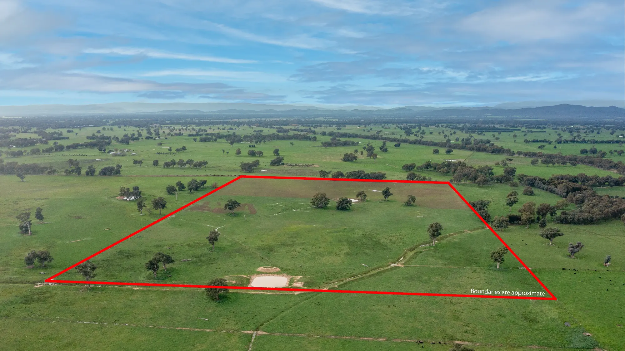 Superb farming opportunity