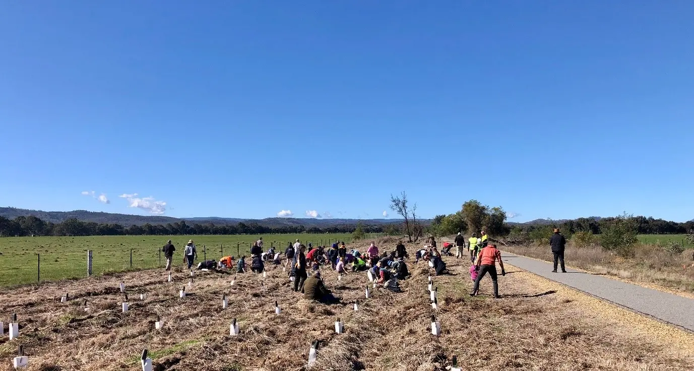 Rural city community invited to plant for National Tree Day at Everton Upper