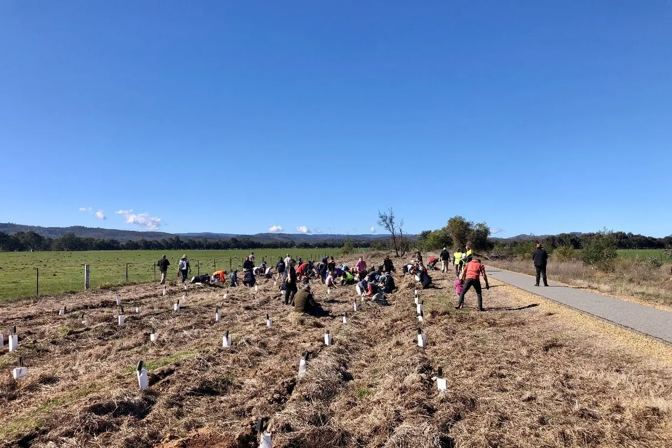 <p>GREEN THUMBS GALORE: Community members dig in at the National Tree Planting Day in 2025</p>\\n
