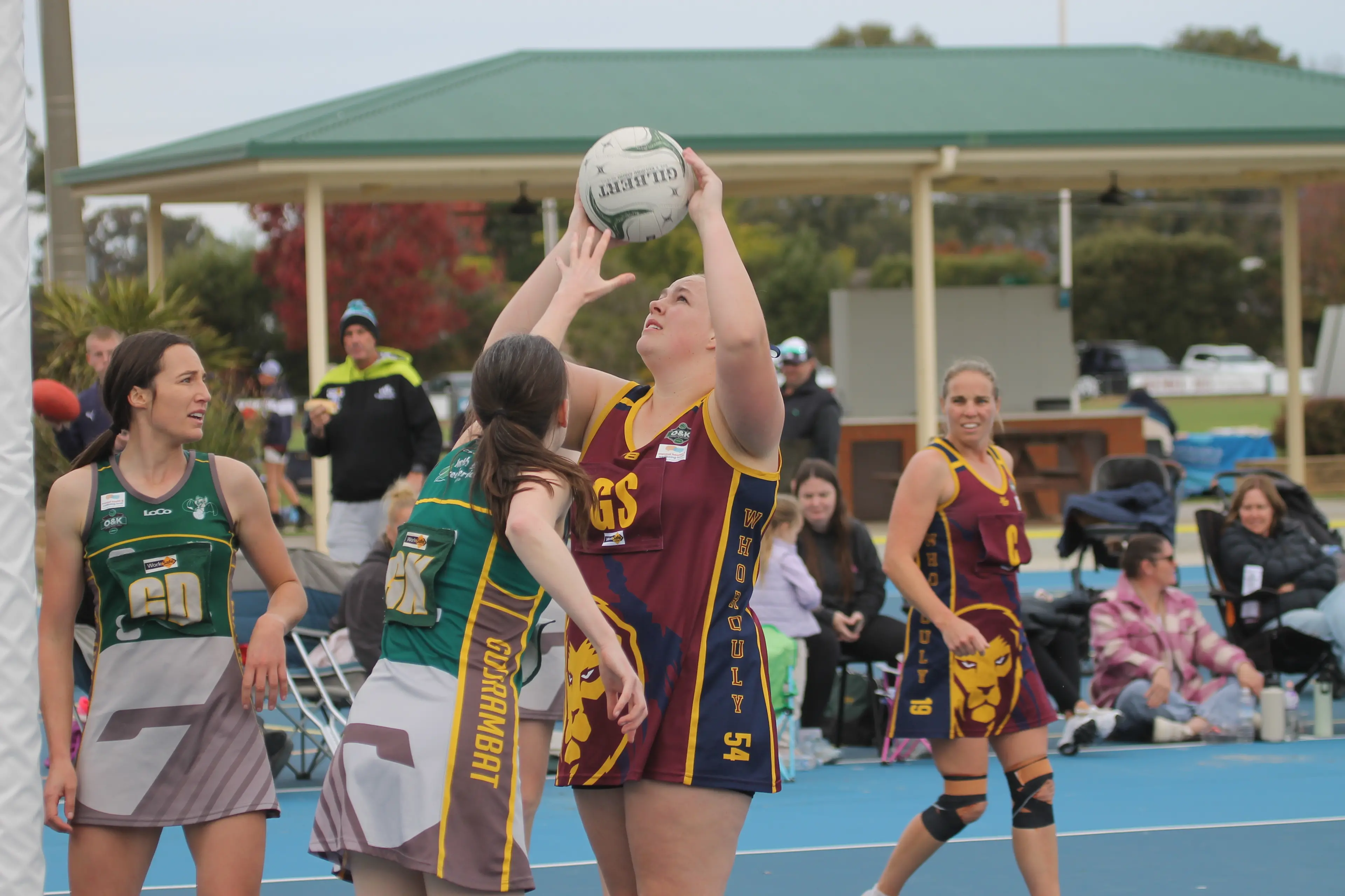 <p>DEFENSIVE PRESSURE: The Lions and Bats take to the court against each other once more. PHOTO: Nathan de Vries</p>\\n