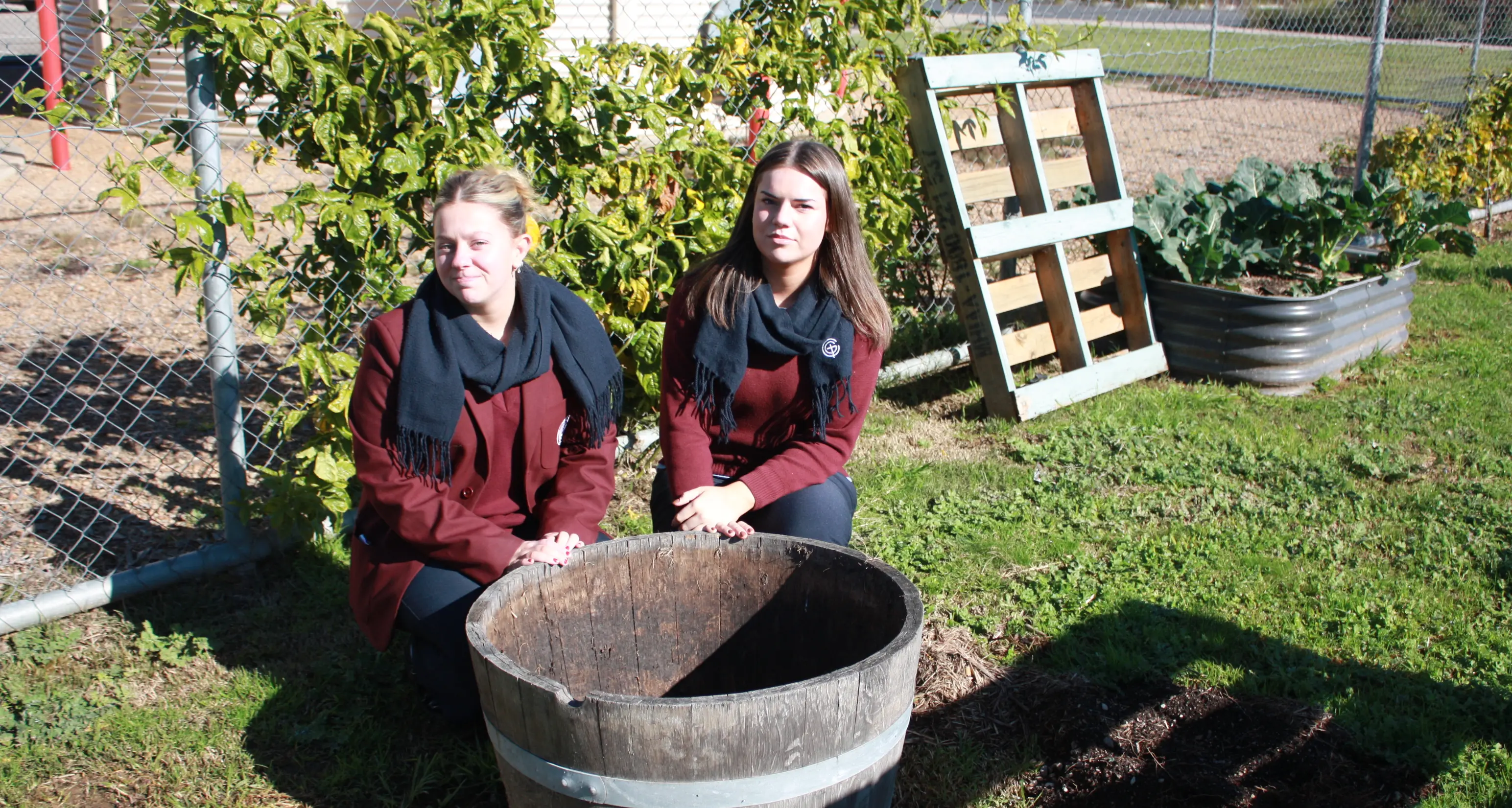 Tree thieves target Galen garden