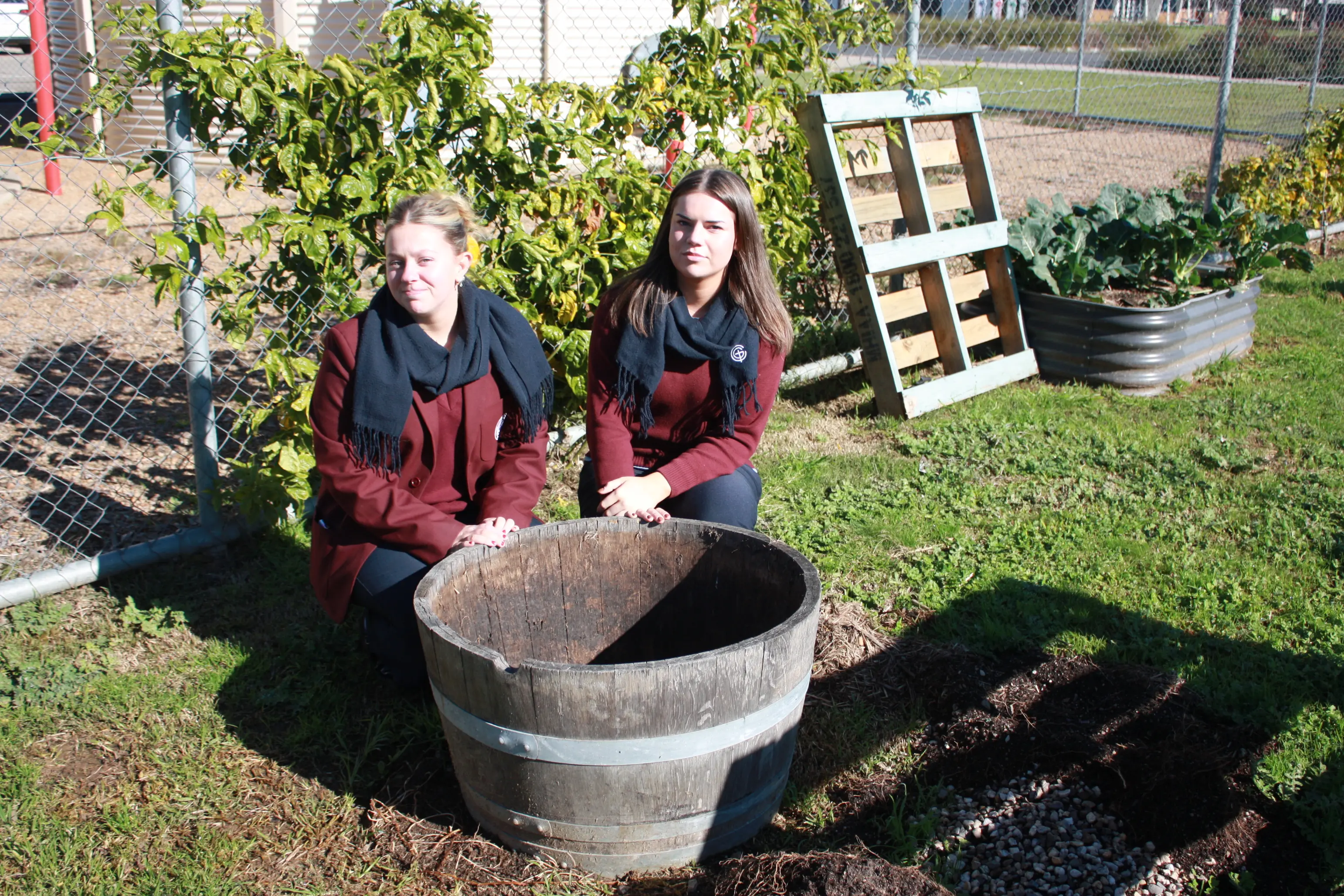 <p>DISAPPOINTED: Galen Catholic College students, including Ava Curran (16) and Hannah Ormond (16), have been left disappointed after a fruit tree, a passionfruit vine and olive tree stolen were stolen from their community garden. PHOTO: Jordan Duursma </p>\\n
