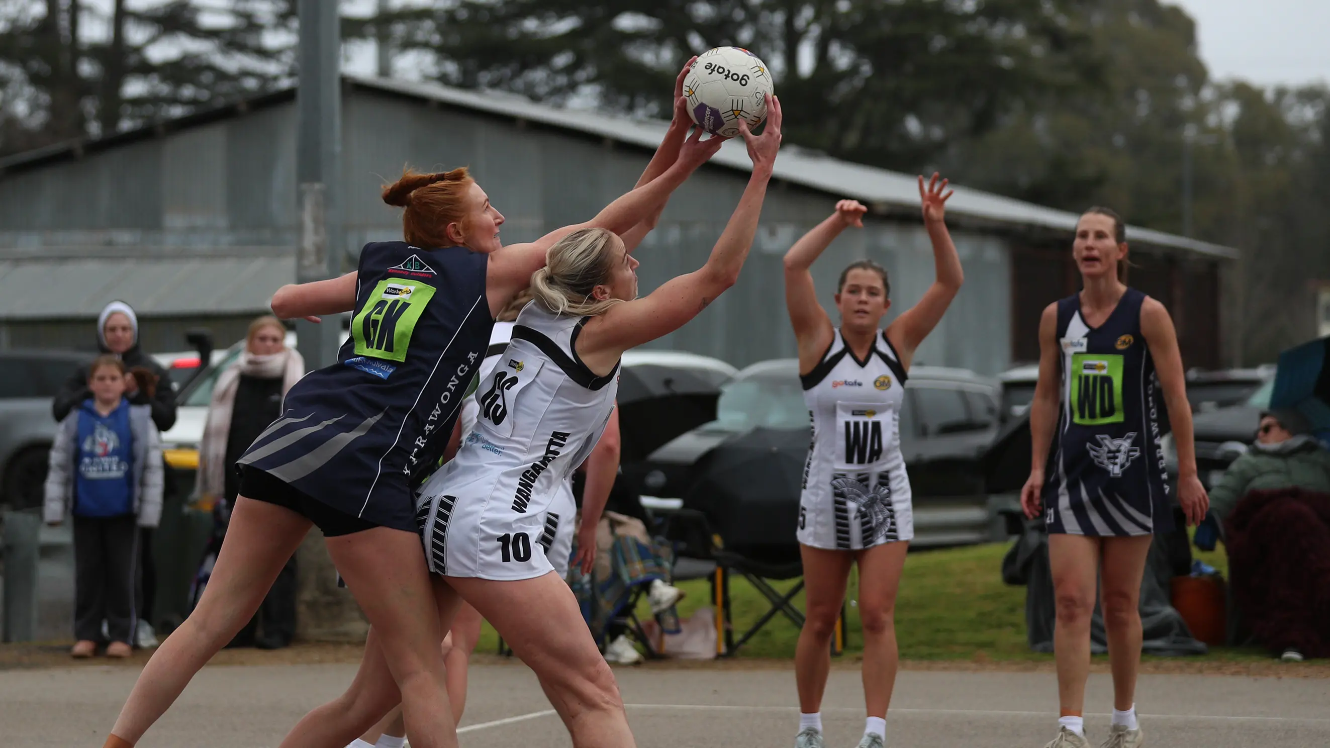 Pigeons pinch a close one against the 'Pies