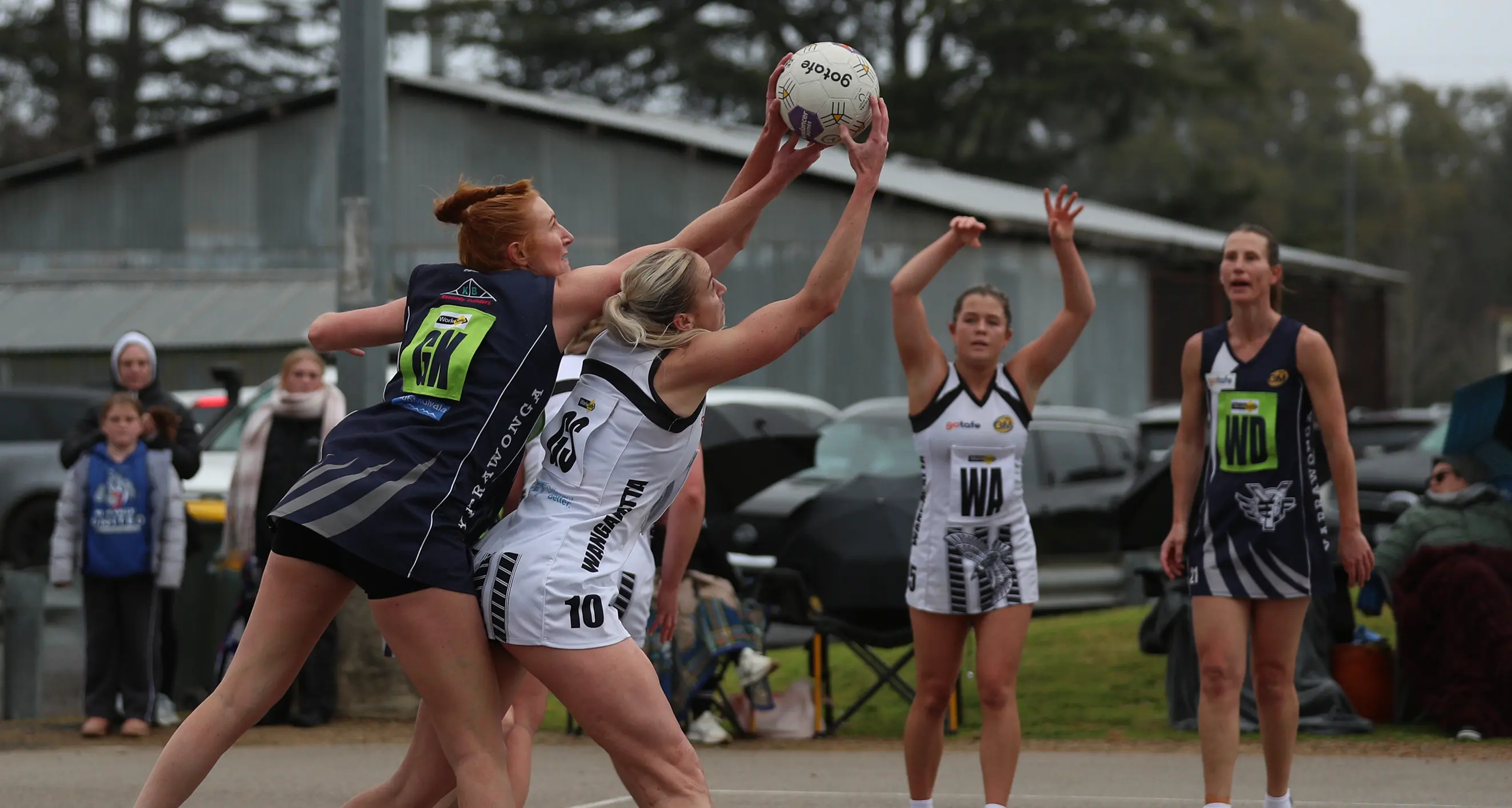 Pigeons pinch a close one against the 'Pies