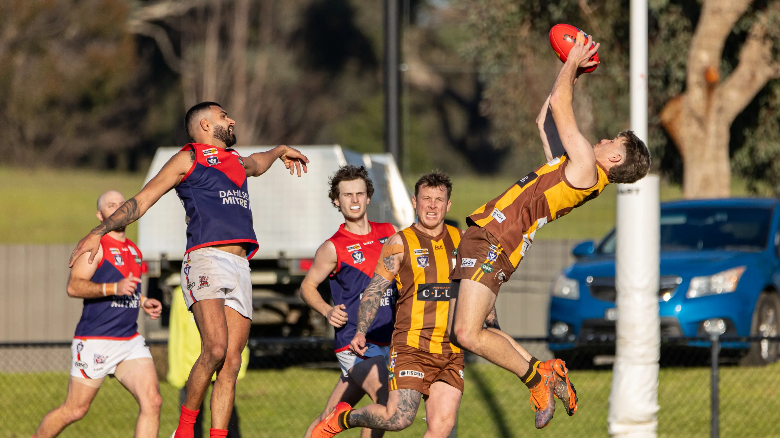 North Wangaratta belt Demons, on pace for top-three finish