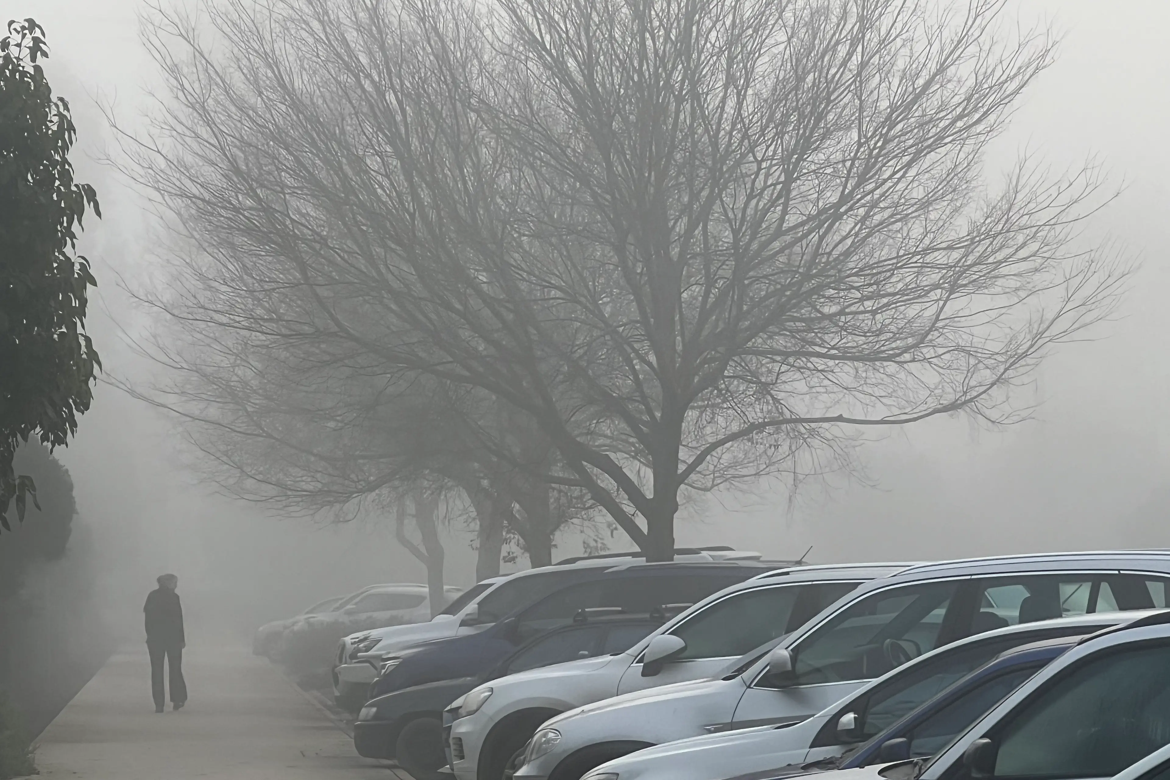<p>WINTER CHILL: Wangaratta had 15 foggy mornings during July. PHOTO: Jeff Zeuschner</p>\\n