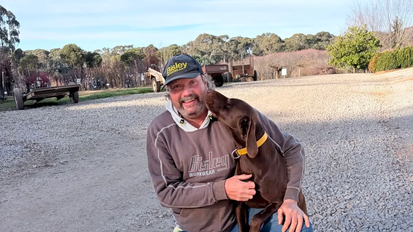 Stanley nursery owner offers $20k reward after dog shot on property