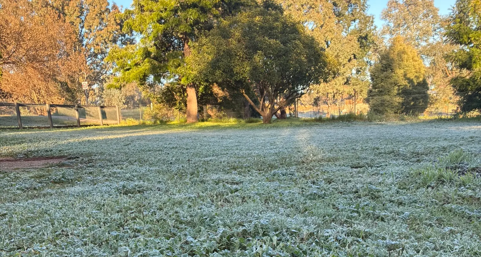 Slight warmth this July with a heavy pouring