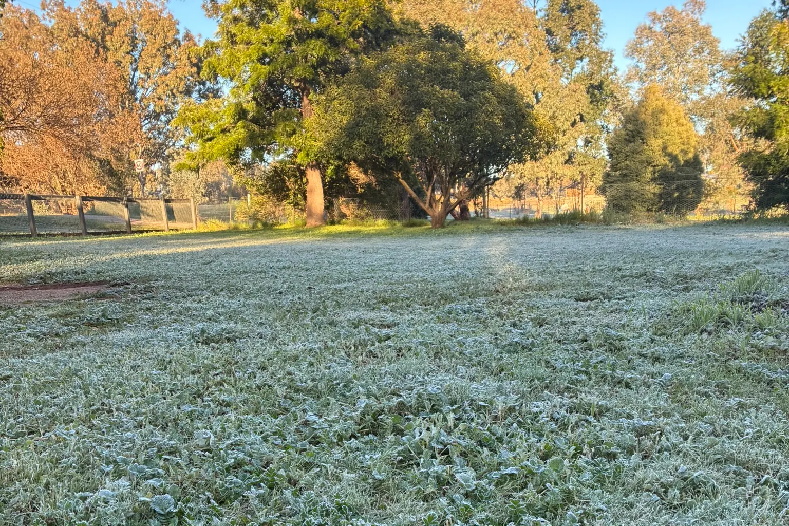<p>CHILLY CONCLUSION: While the cold was overall mild over the course of July, Wangaratta experienced a frosty sweep on the last day of the month. PHOTO: Jordan Duursma</p>\\n
