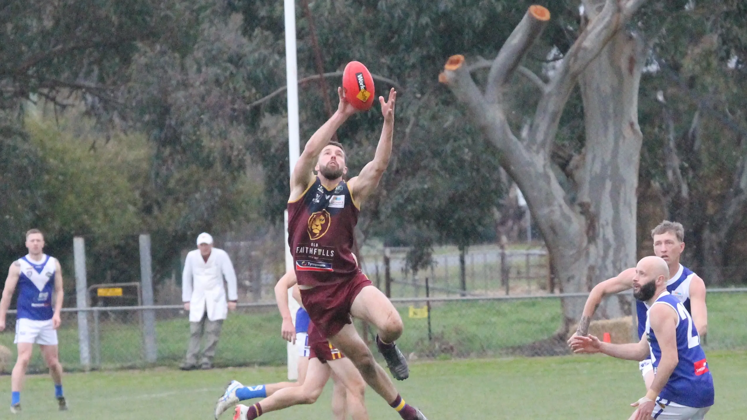 Lions step closer to minor premiership after triumph over Bright