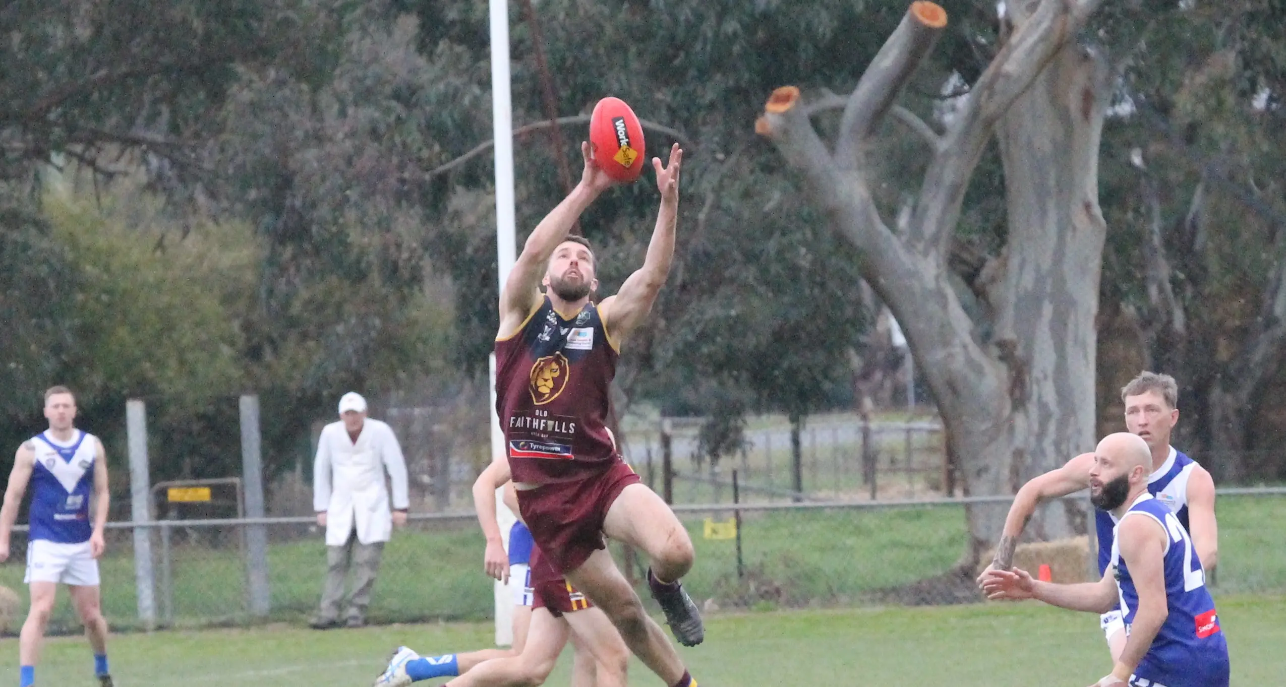 Lions step closer to minor premiership after triumph over Bright