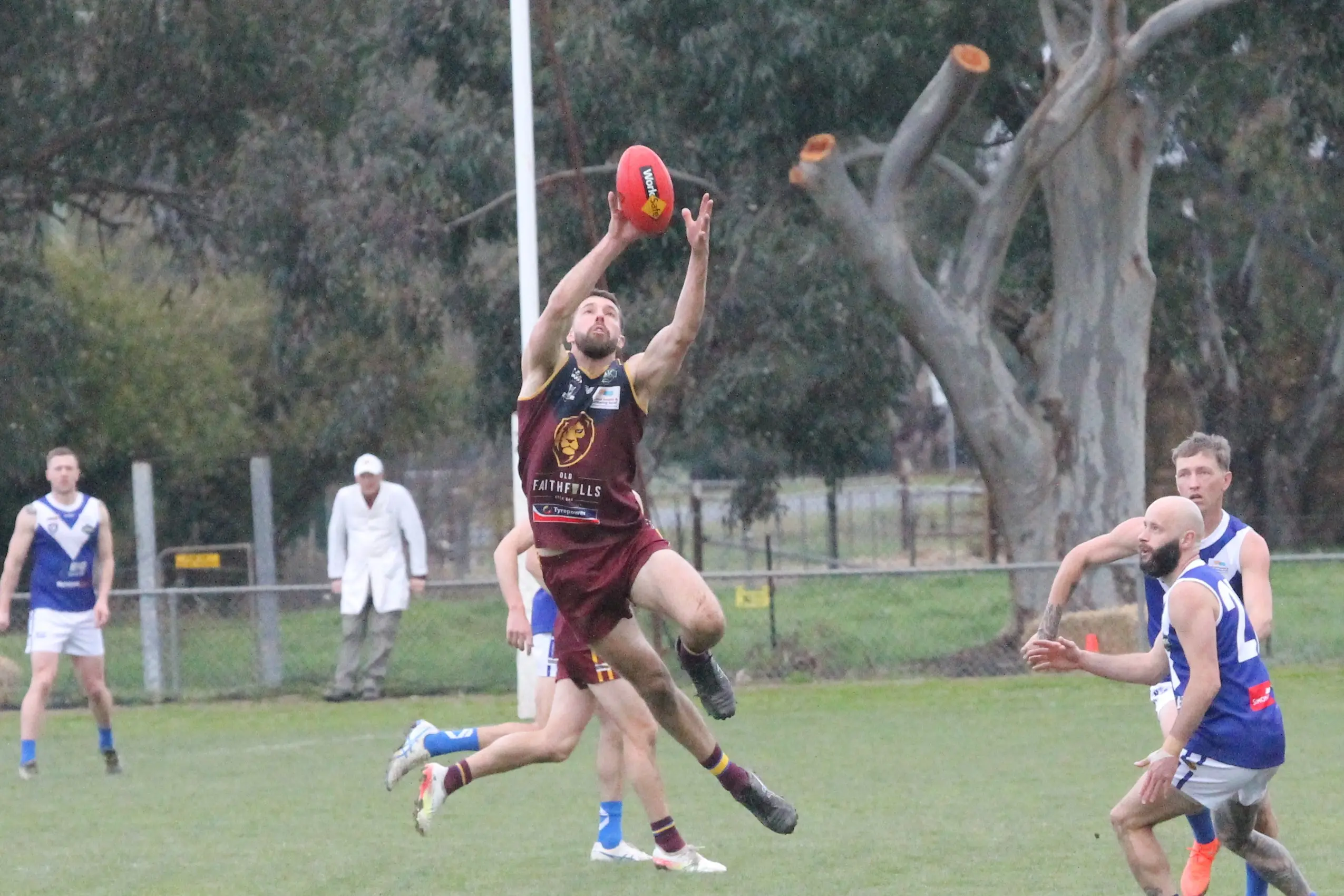 <p>AIR MAX: Max Scott took intercept mark after intercept mark in the Lions\\' win over Bright. PHOTO: Nathan de Vries</p>\\n
